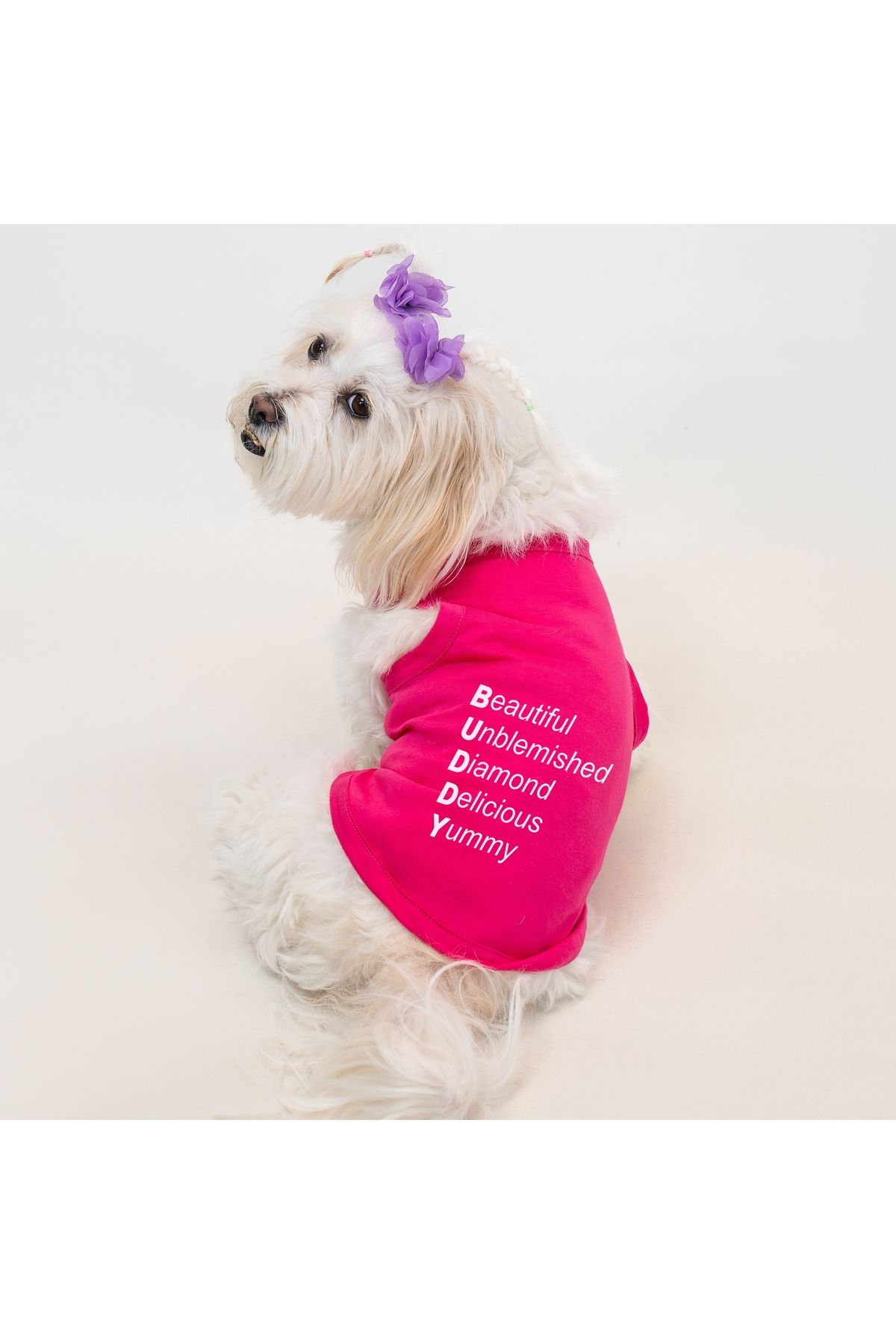 Buddy Store Kedi & Köpek Kıyafeti Giysileri Kıyafetleri - Akrostiş Baskılı Yazlık Atlet