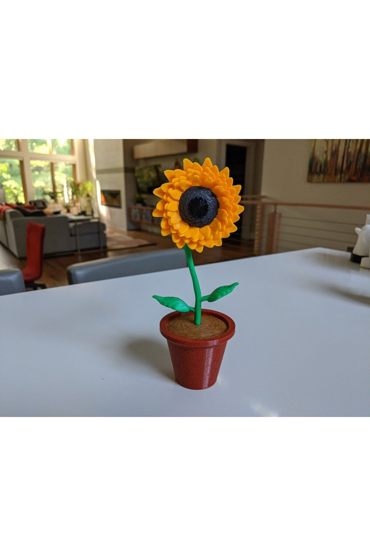 Vision Craft Tencere ve toprak ile ayçiçeği