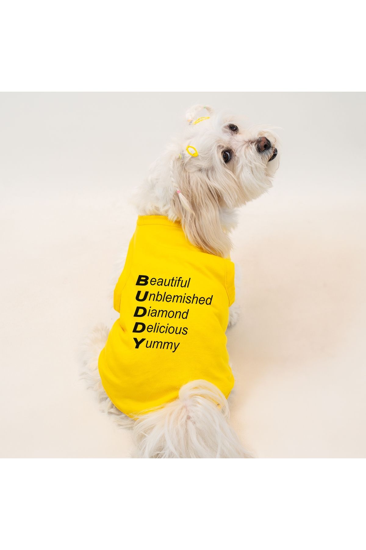 Buddy Store Kedi & Köpek Kıyafeti Giysileri Kıyafetleri - Akrostiş Baskılı Yazlık Atlet