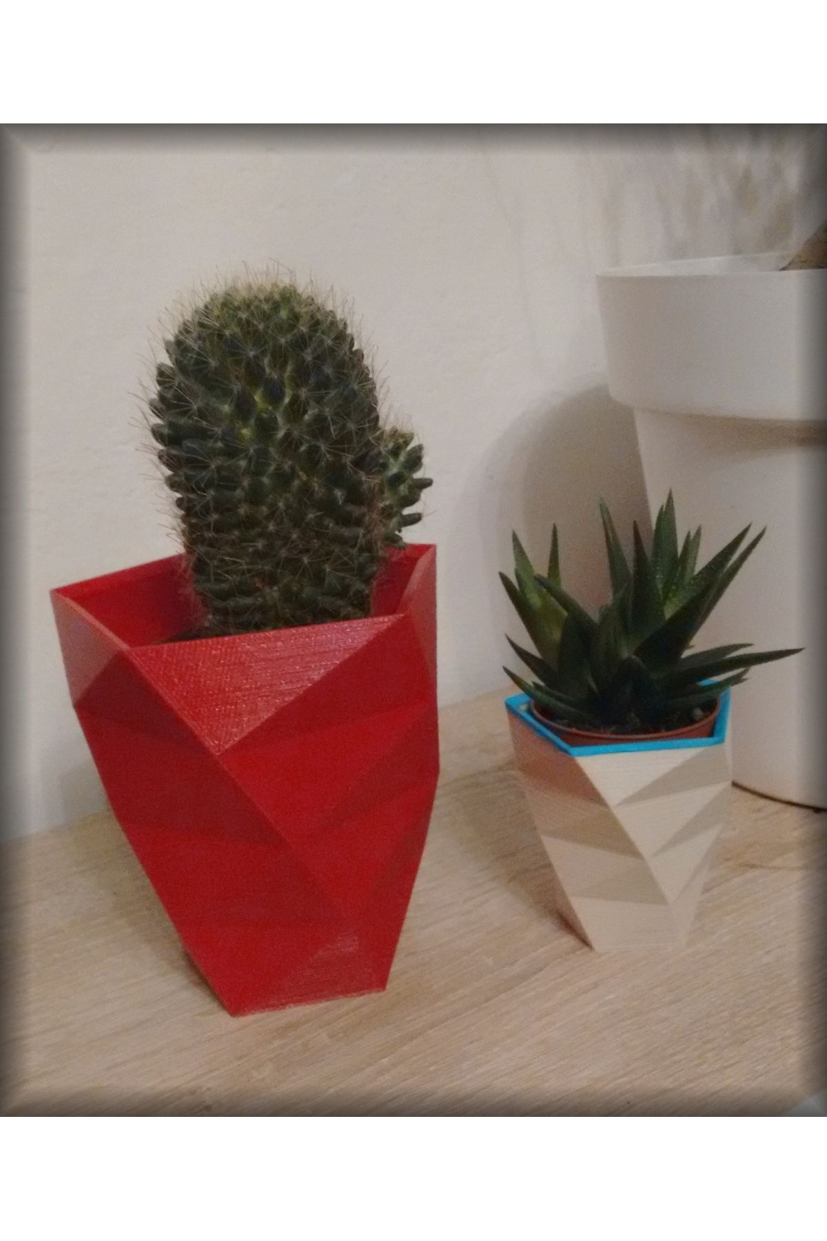 Vision Craft Bükülmüş çiçekler pot. Tasarım Saksı