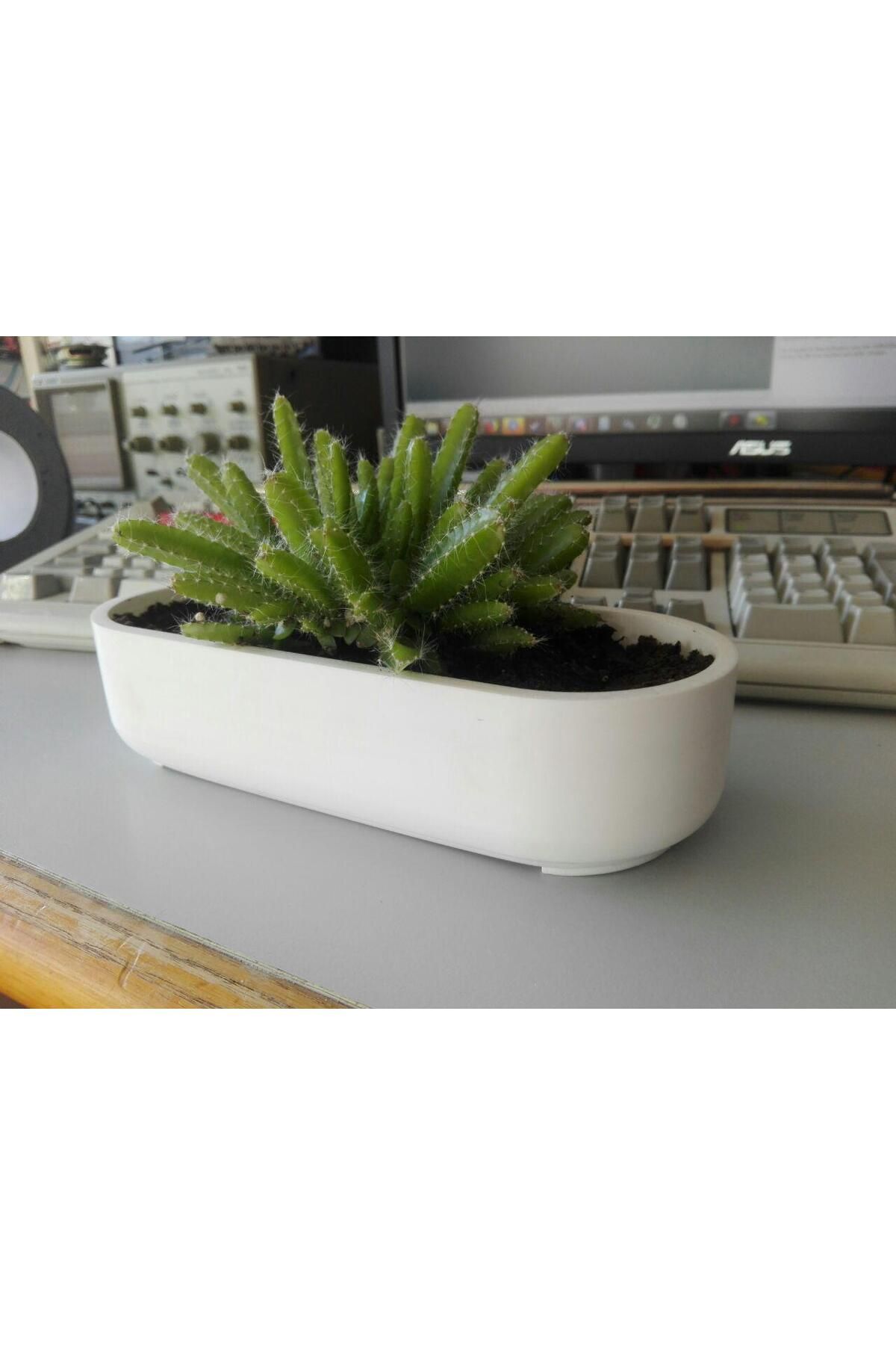 Vision Craft Basit Yuvarlak veya Geniş Pot - Openscad