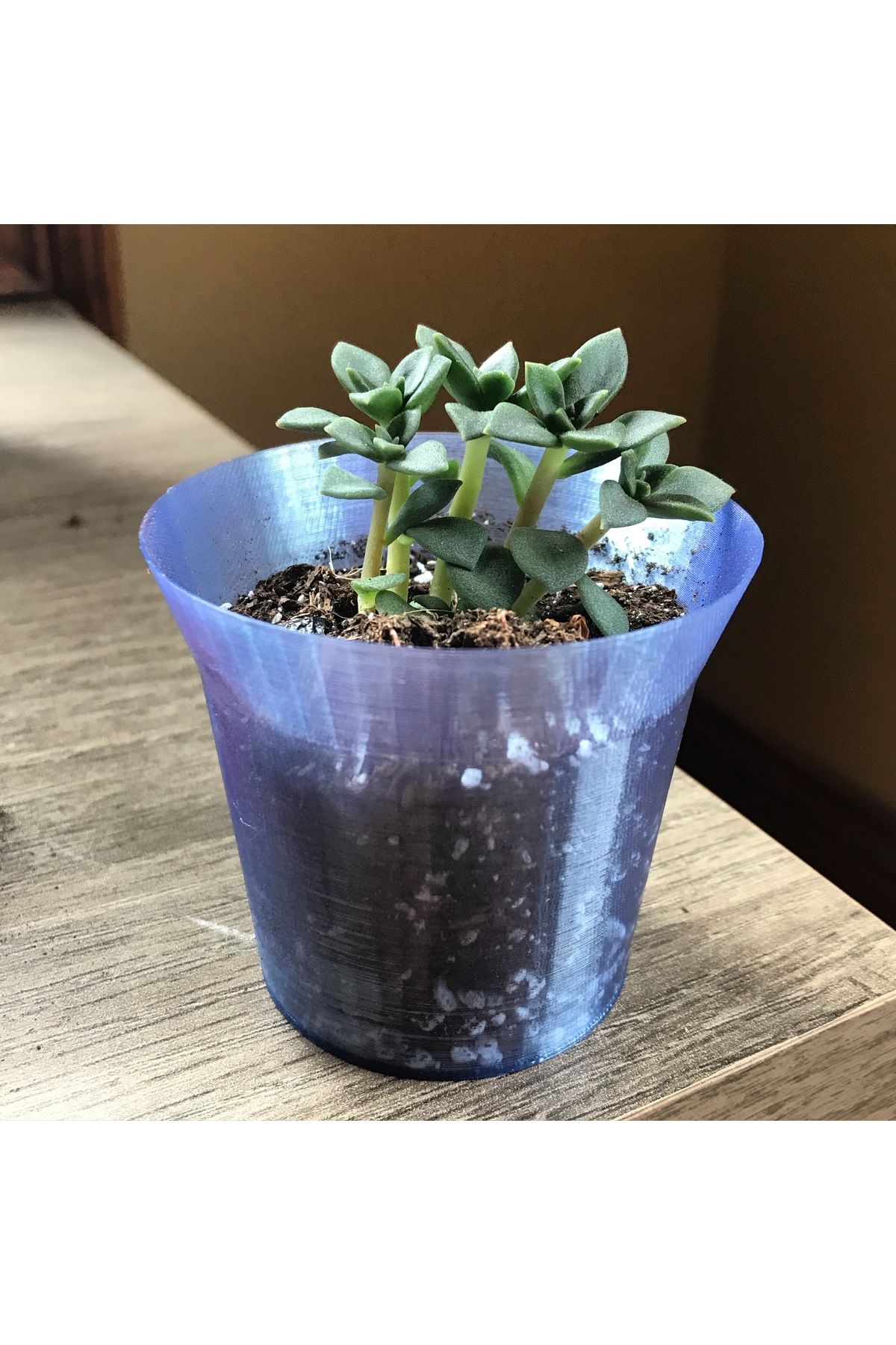 Vision Craft Tiny Pot Projesi