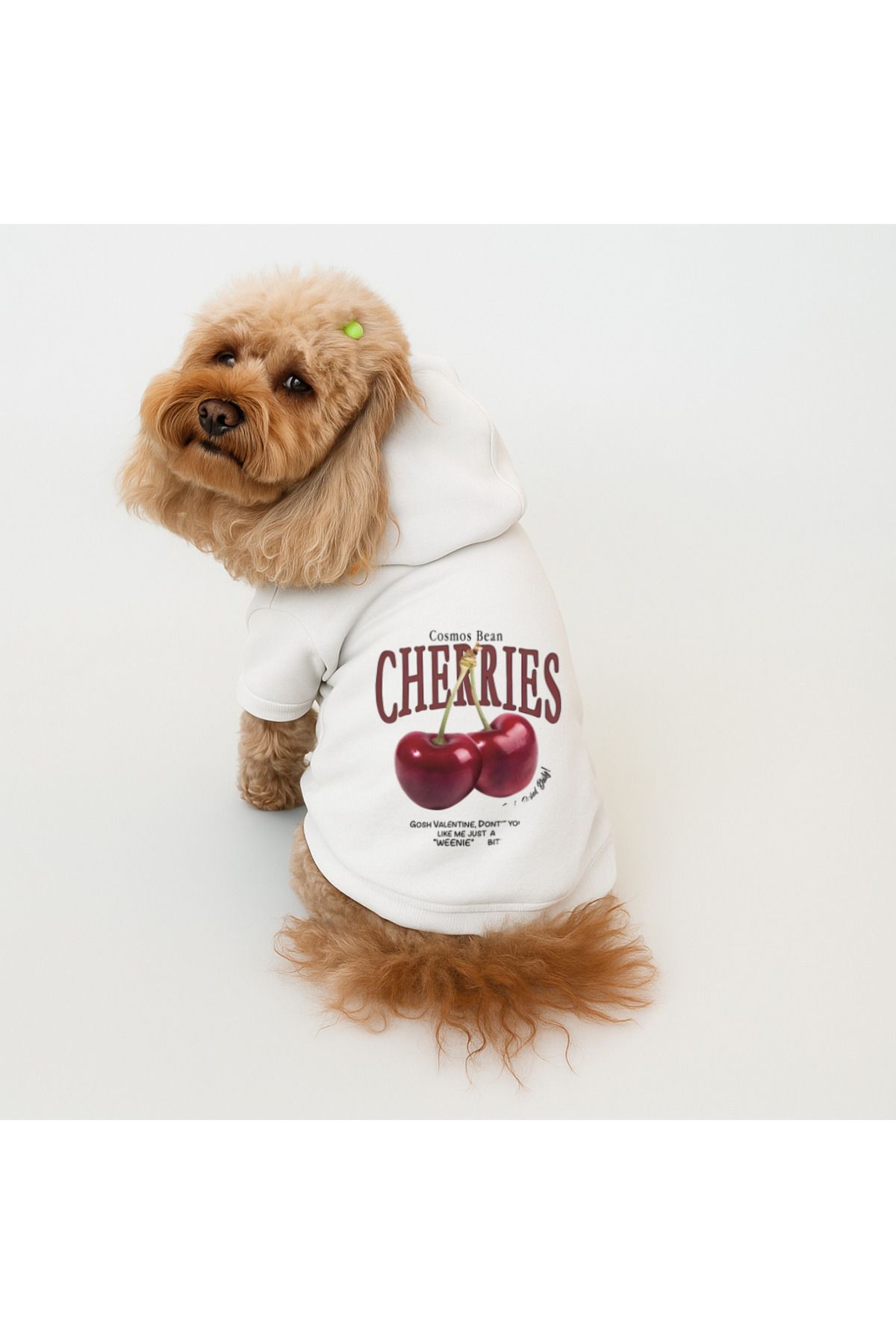 Buddy Store Kedi Ve Köpek Kıyafeti Elbiseleri Giysileri - Baskılı Beyaz Sweatshirt Hoodie