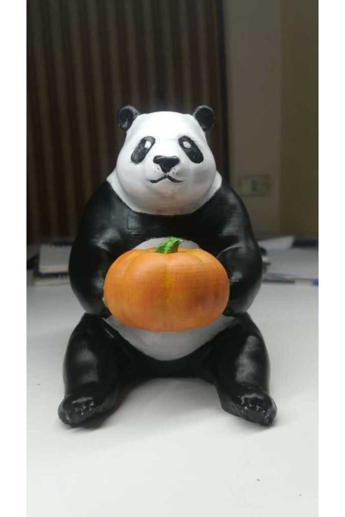 Lucest sevimli kabak panda (Plastik Aparattır!!!)