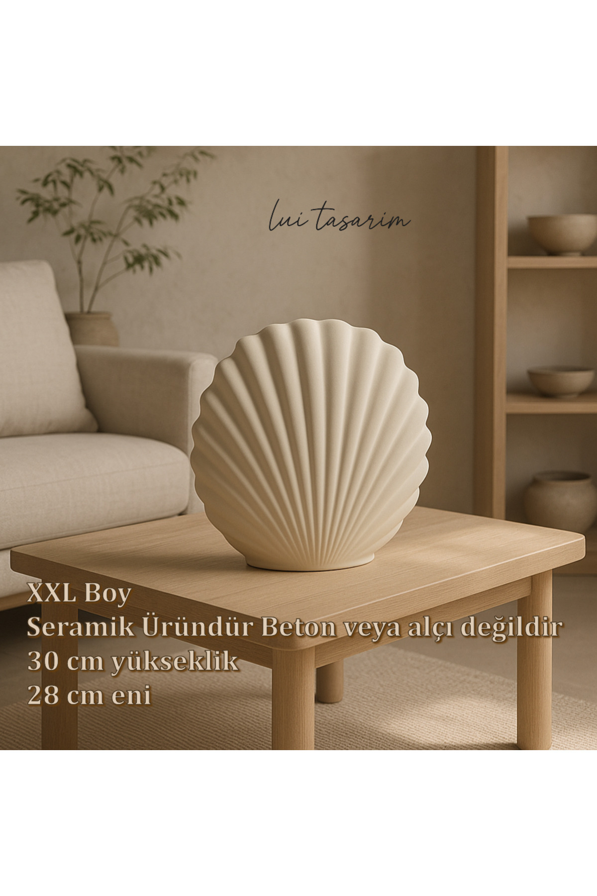 Lui Tasarım-Cream Seashell XL Size Oyster Vase Natural Ceramic Cream Color (Not Concrete Plaster Large Size) 3