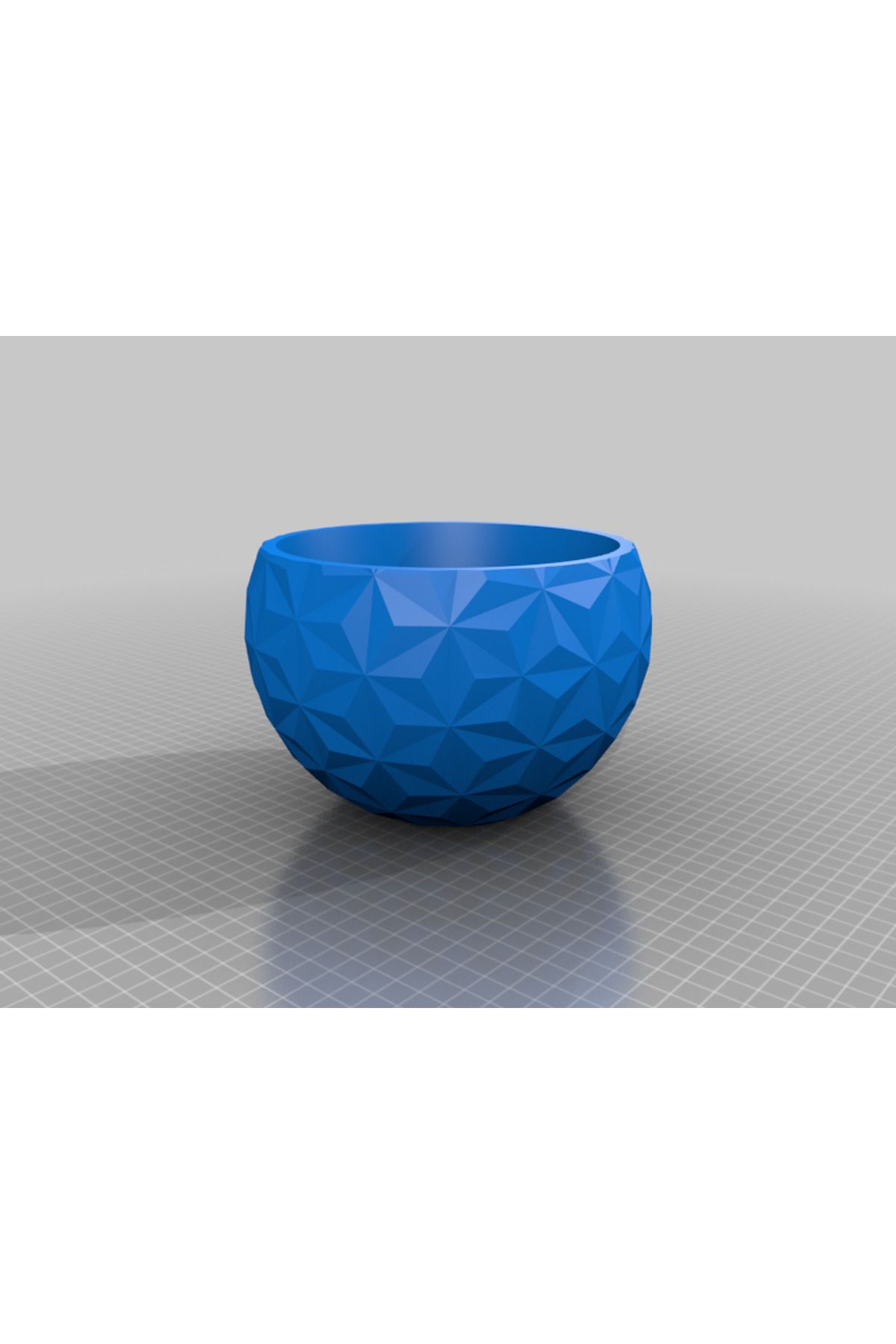 Vision Craft Geometrik bitki tenceresi