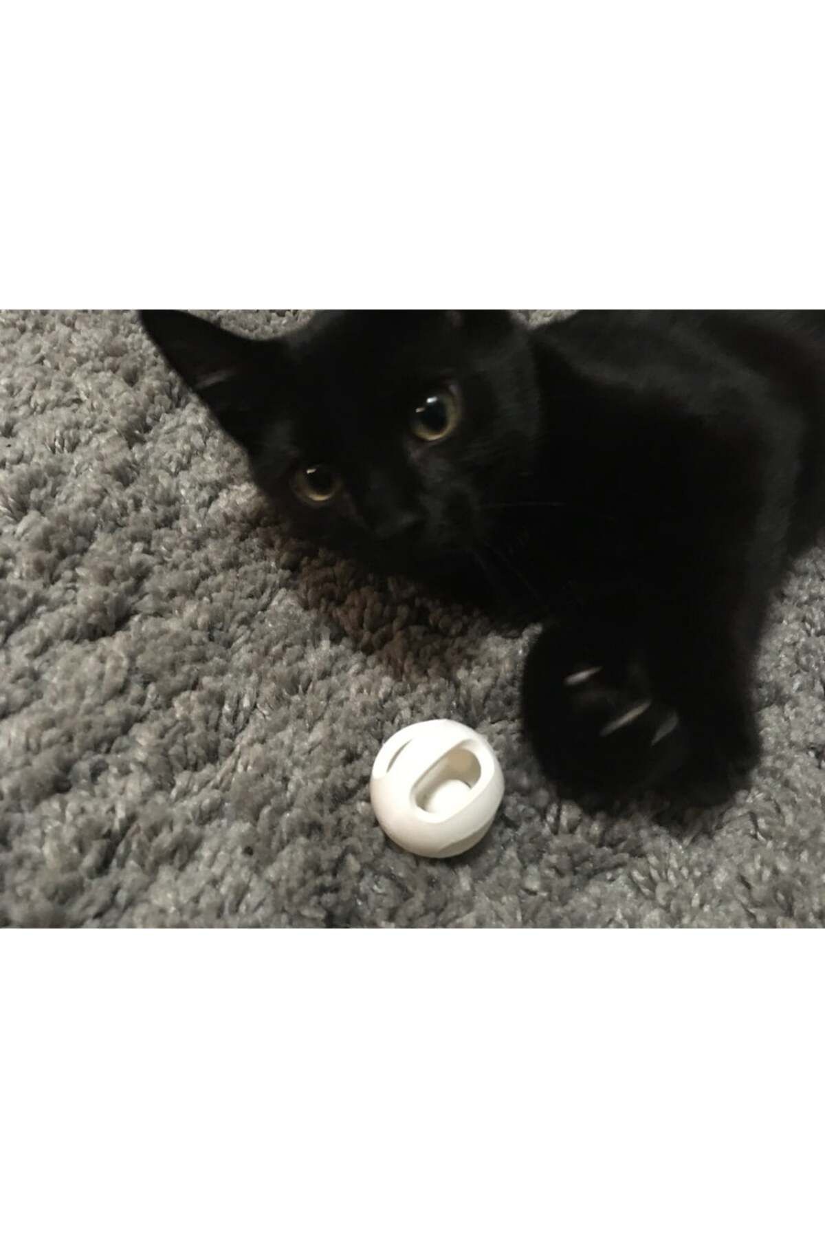 Lucest Top Topu Kedi Oyuncak (Plastik Aparattır!!!)