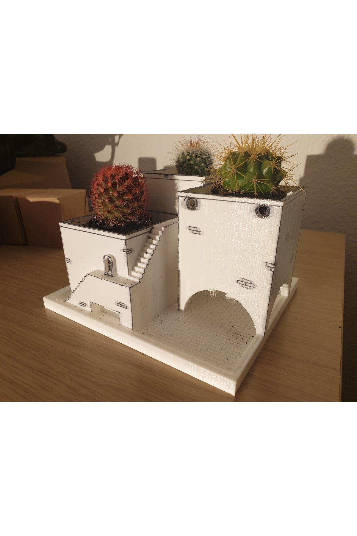 Vision Craft Kaktüs
