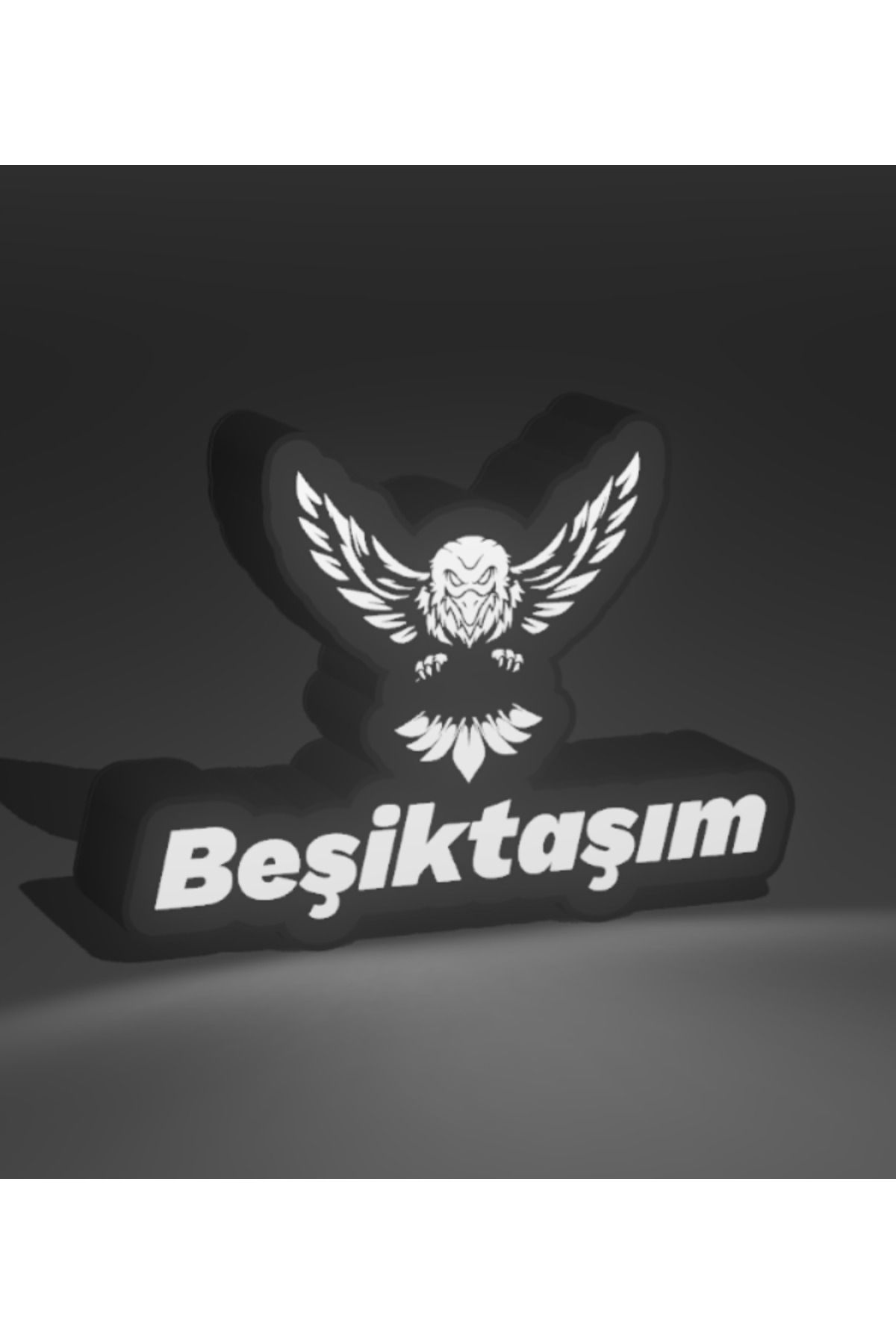 KAMER LED IŞIKLI BEŞİKTAŞIM