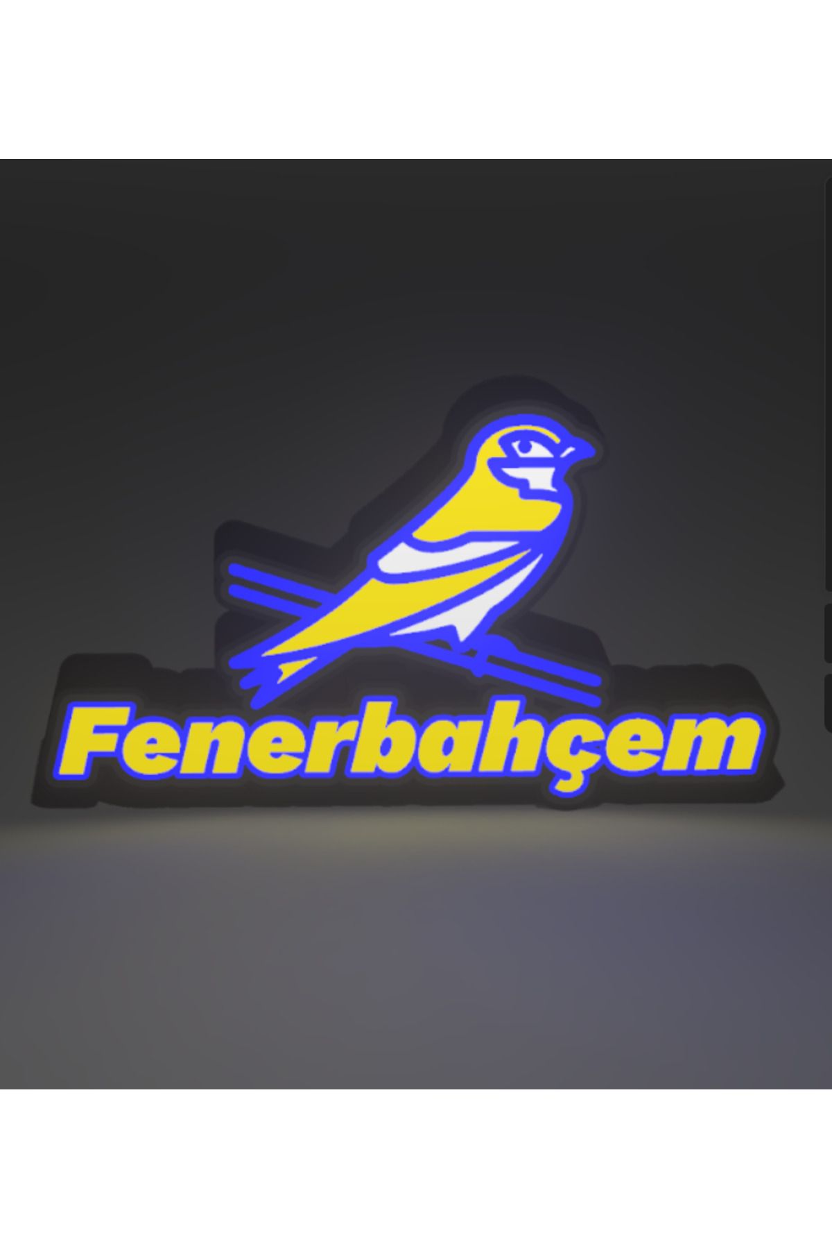 KAMER LED IŞIKLI FENERBAHÇEM