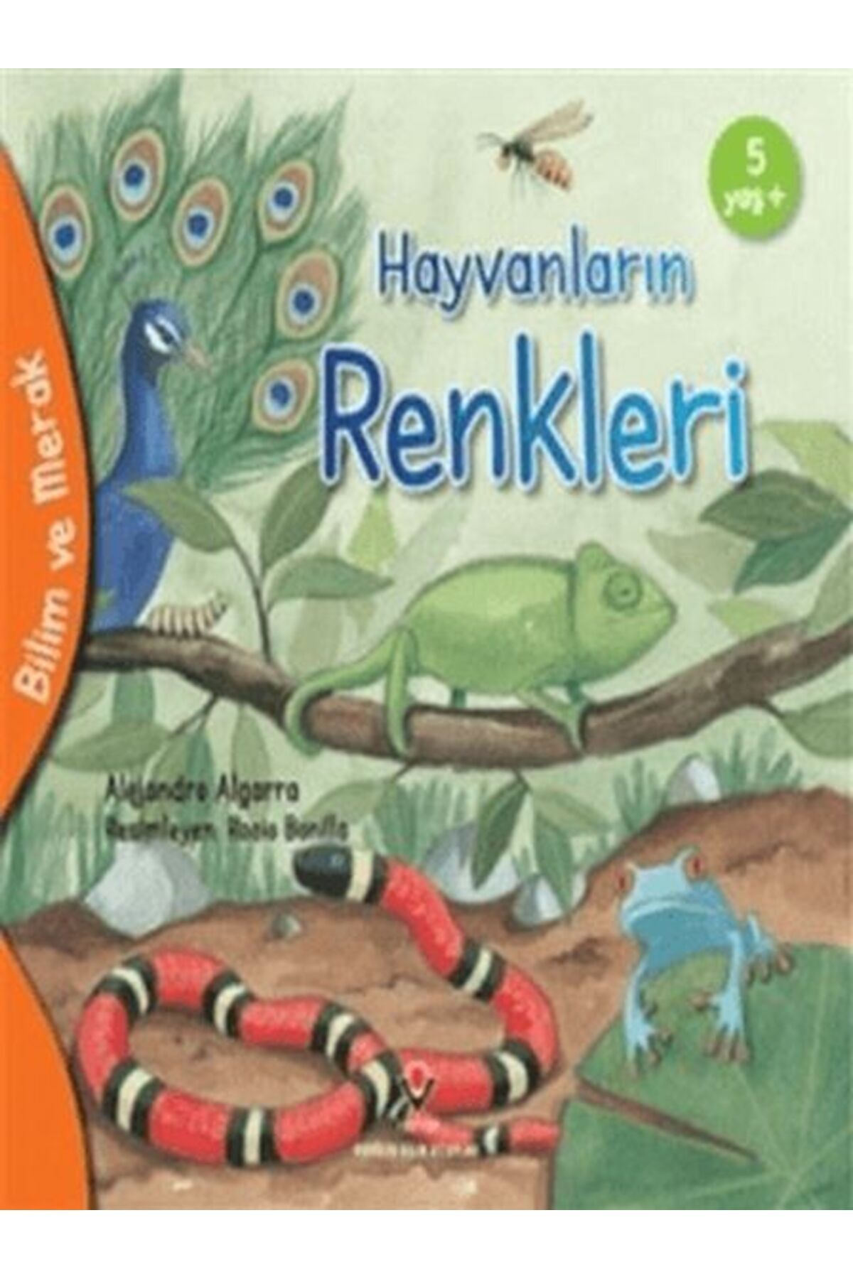 Destek Yayınları Bilim Ve Merak - Hayvanların Renkleri