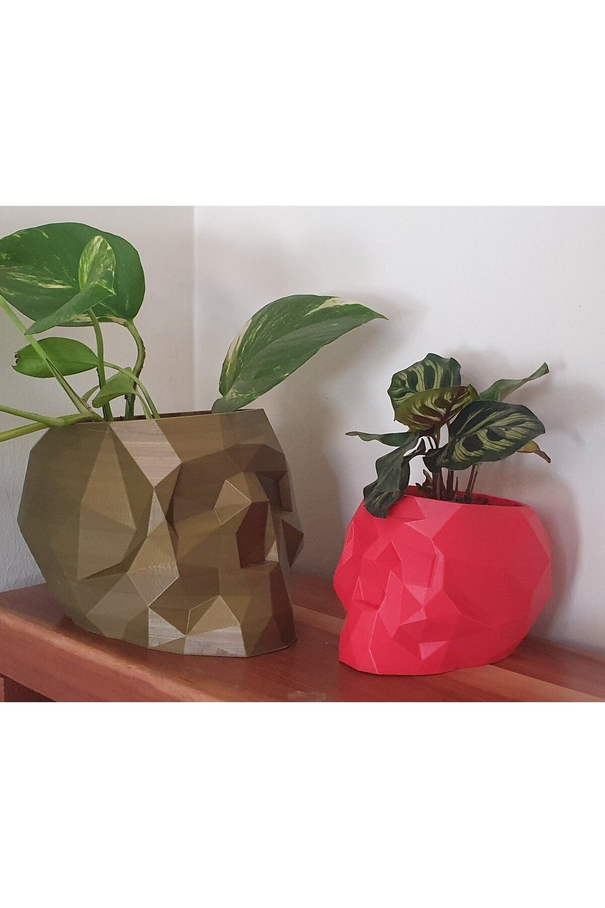Vision Craft Drenajlı geometrik kafatası tenceresi
