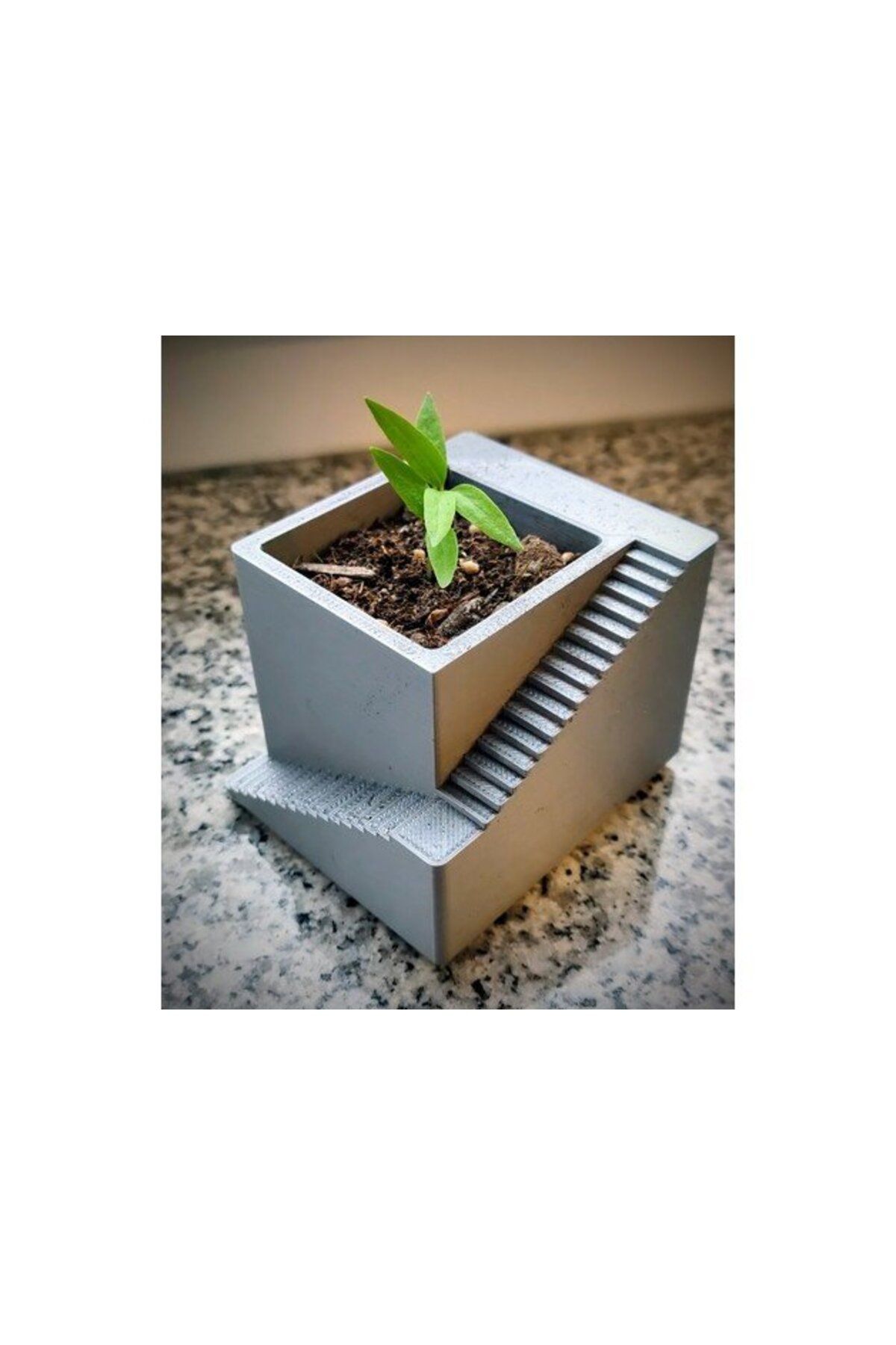 Vision Craft Fide saksı