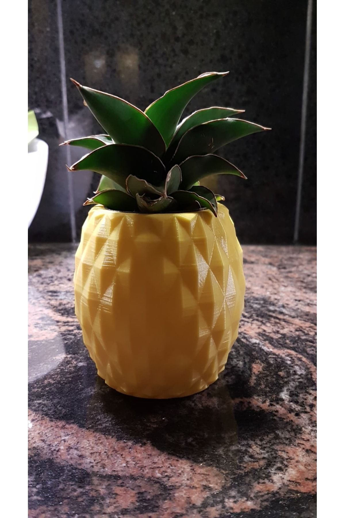 Vision Craft Ananas tenceresi