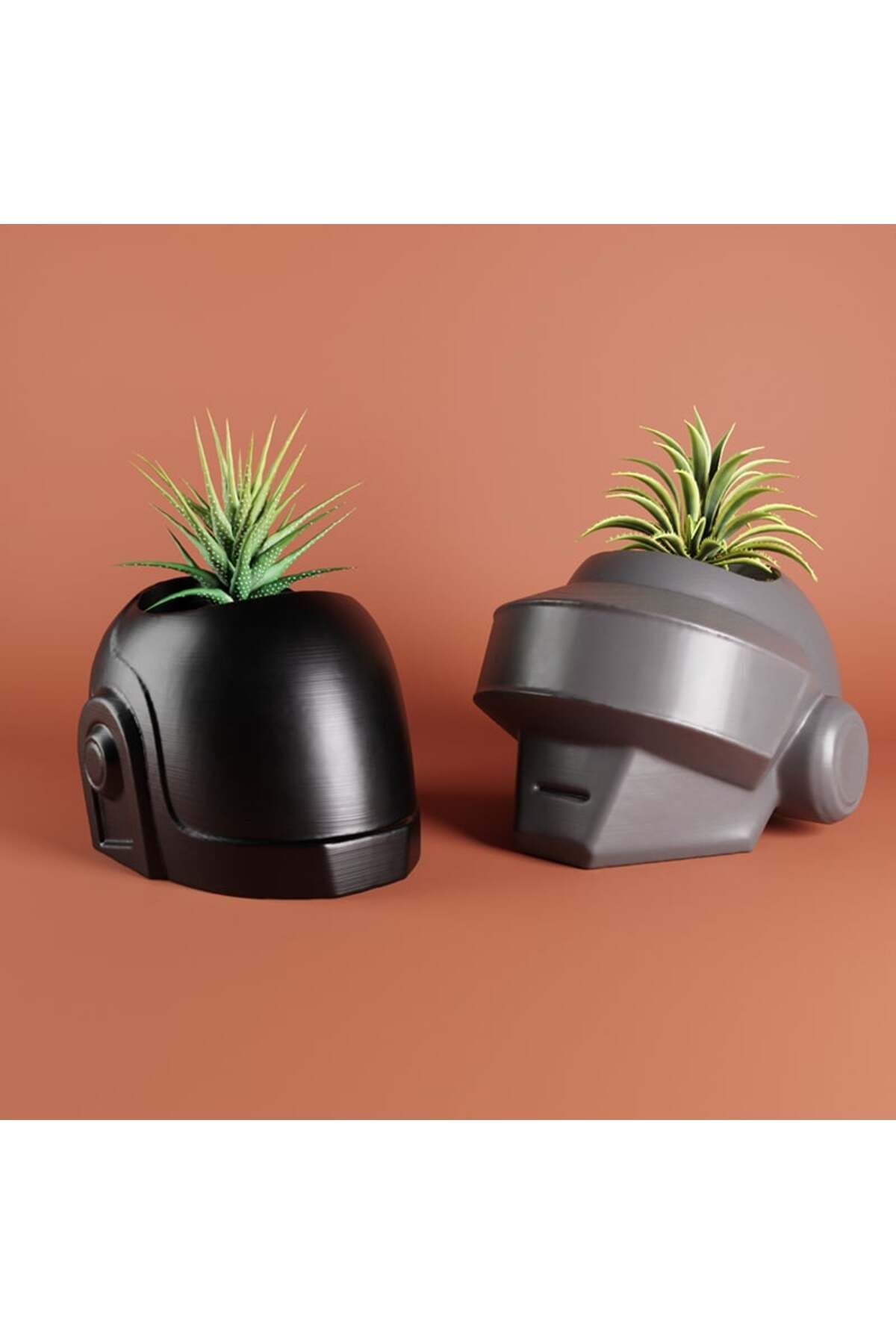 Vision Craft Daft punk bitki tenceresi
