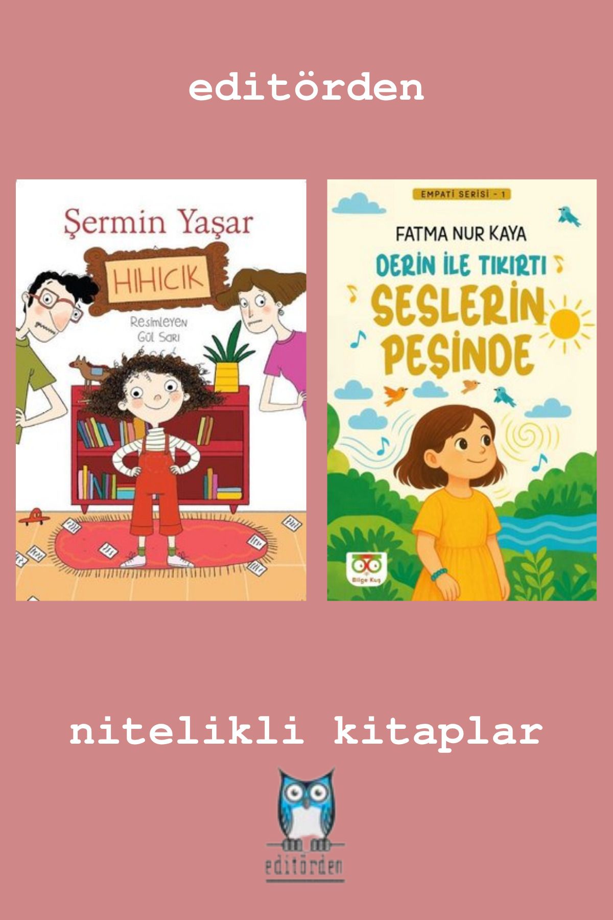 Bilge Kuş Yayınları Hıhıcık - Derin İle Tıkırtı Seslerin Peşinde