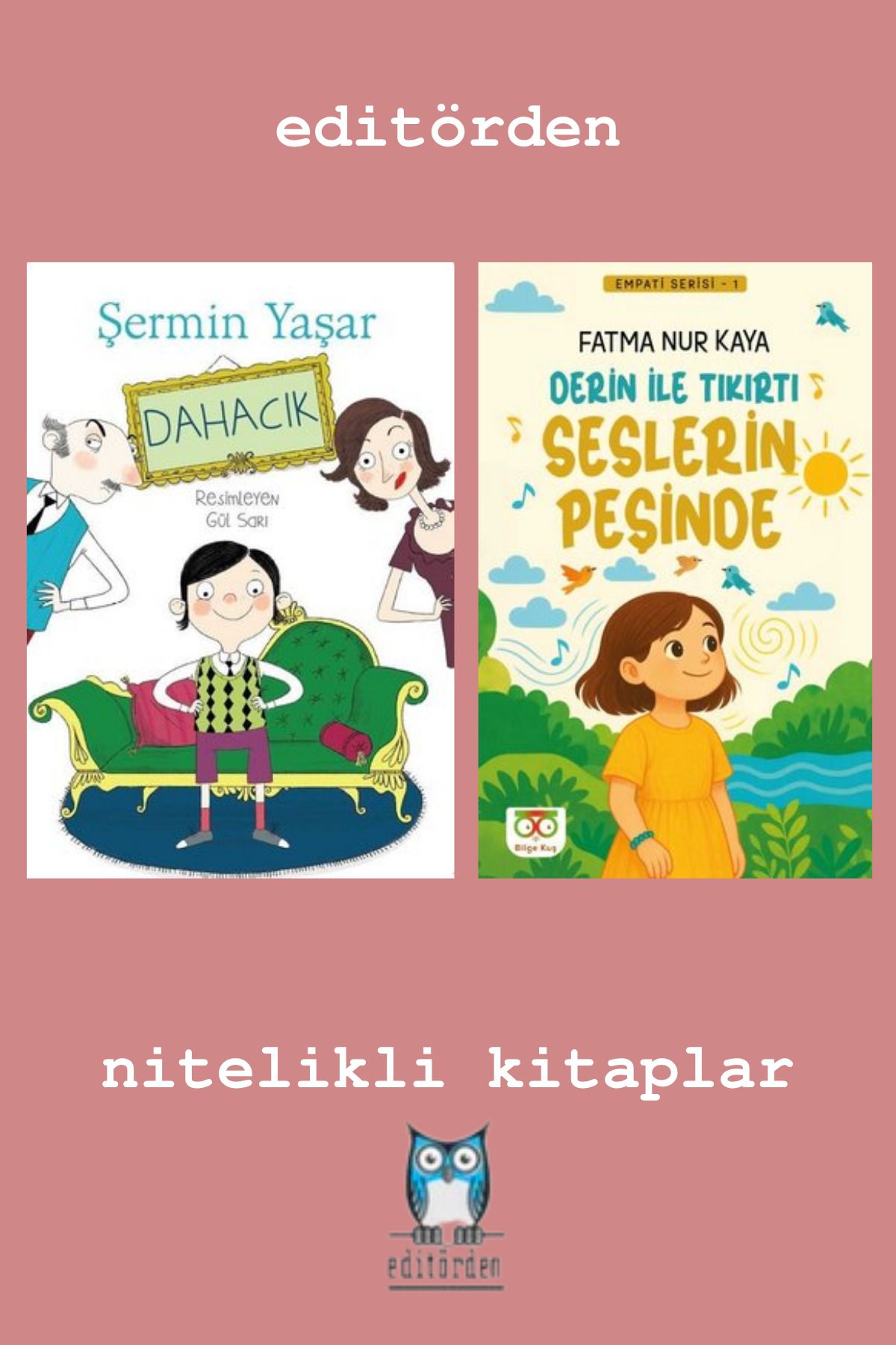 Bilge Kuş Yayınları Dahacık - Derin İle Tıkırtı Seslerin Peşinde