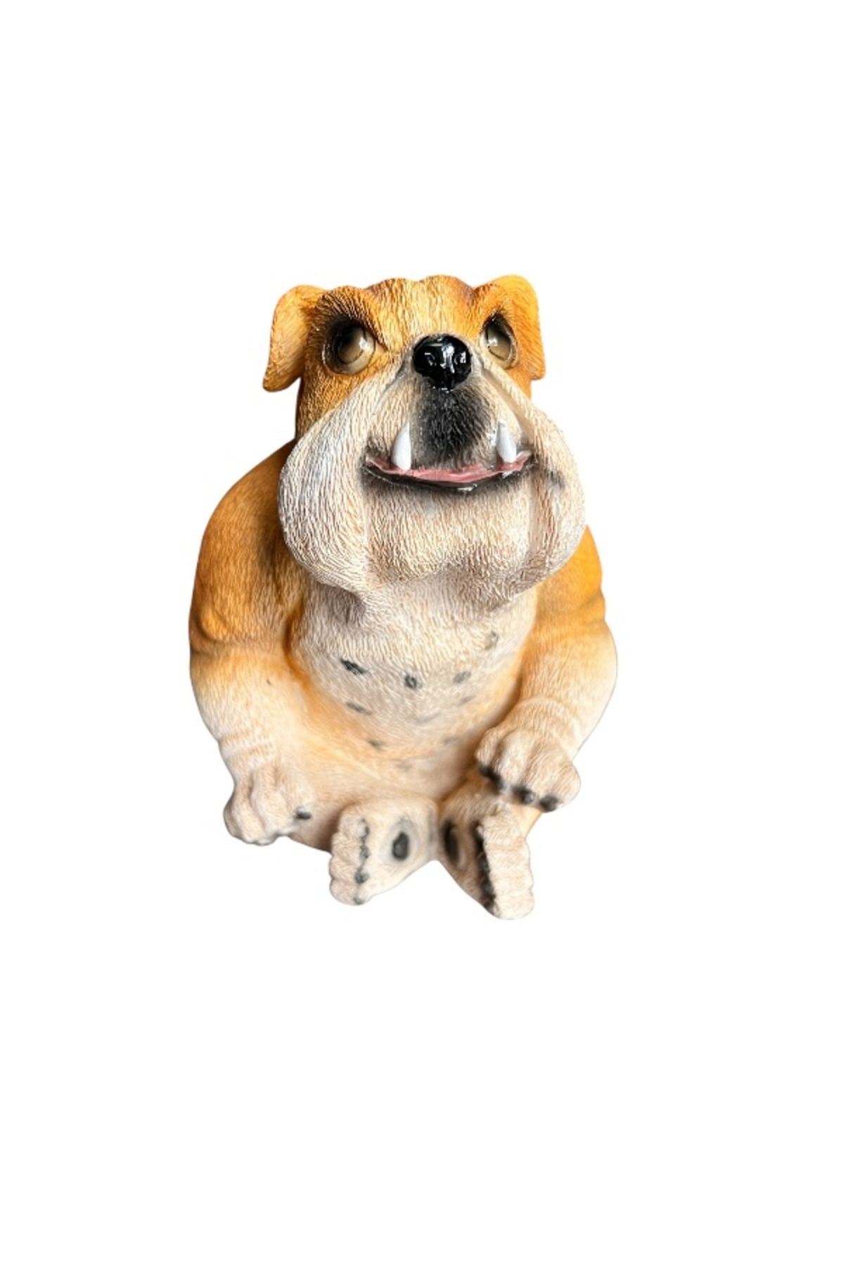 onyyapim DEKORATİF OTURAN BULLDOG KÖPEK HEYKELİ