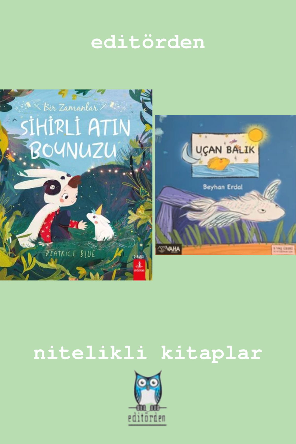Bilge Kuş Yayınları Bir Zamanlar Sihirli Atın Boynuzu - Uçan Balık