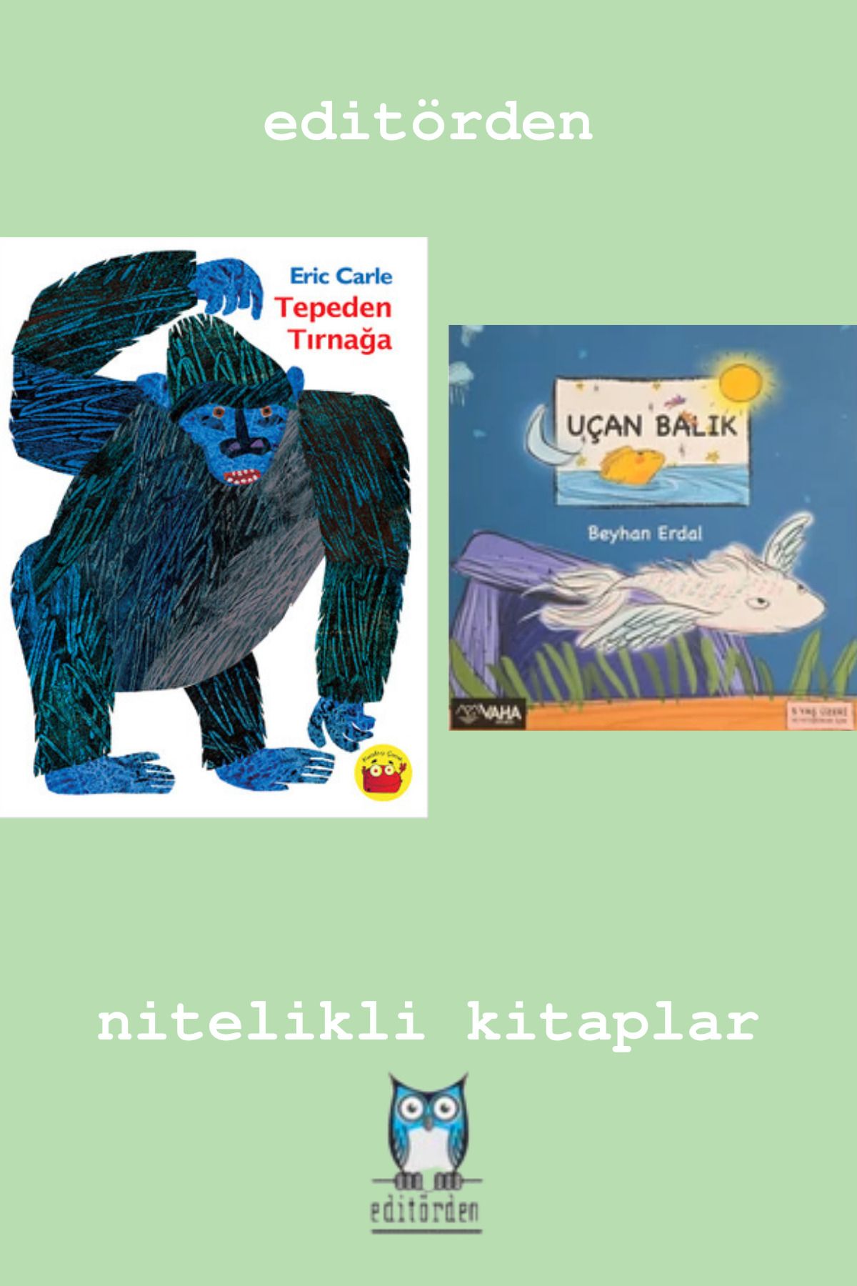 Bilge Kuş Yayınları Tepeden Tırnağa - Uçan Balık
