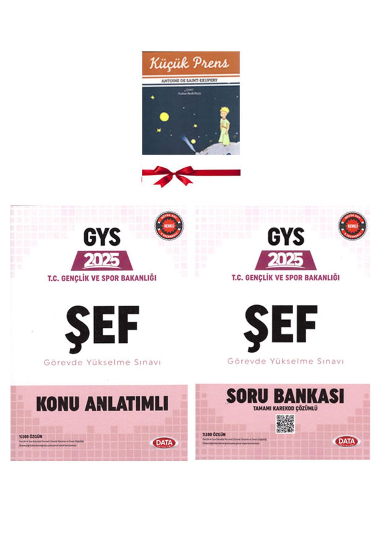 Data Yayınları 2025 GYS Gençlik ve Spor Bakanlığı ŞEF Görevde Yükselme Sınavına Hazırlık Seti