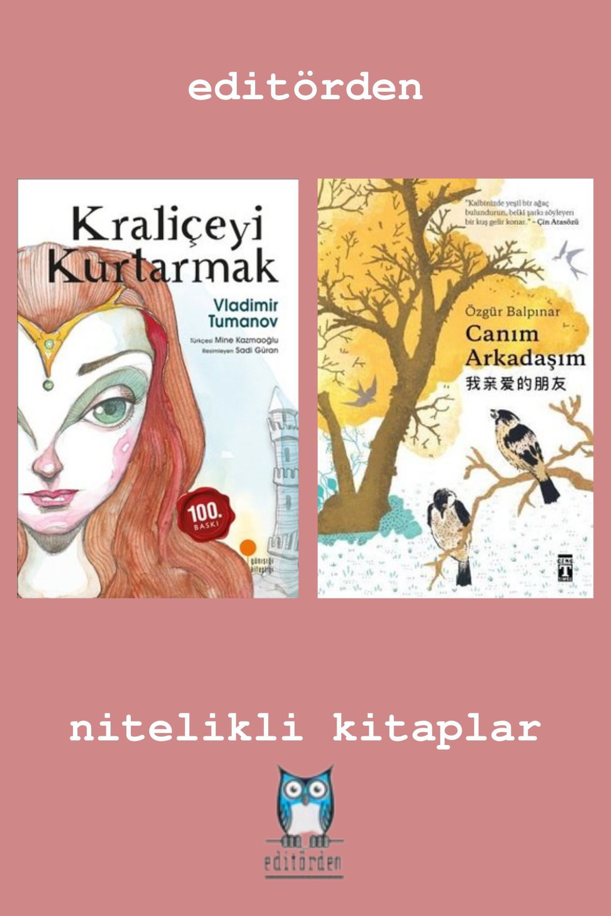 Bilge Kuş Yayınları Kraliçeyi Kurtarmak – Canım Arkadaşım / Özgür Balpınar
