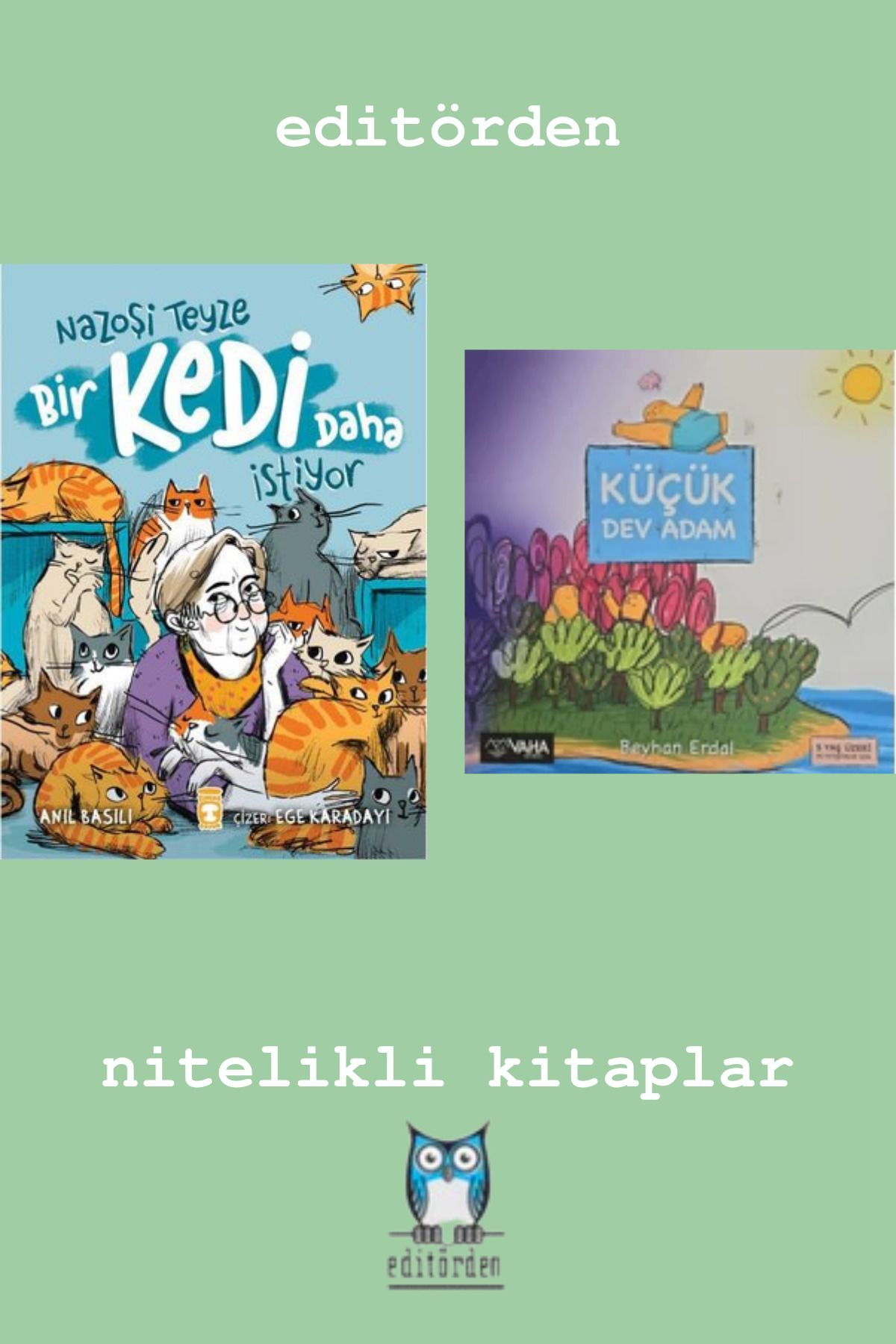 Bilge Kuş Yayınları Nazoşi Teyze Bir Kedi Daha İstiyor - Küçük Dev Adam