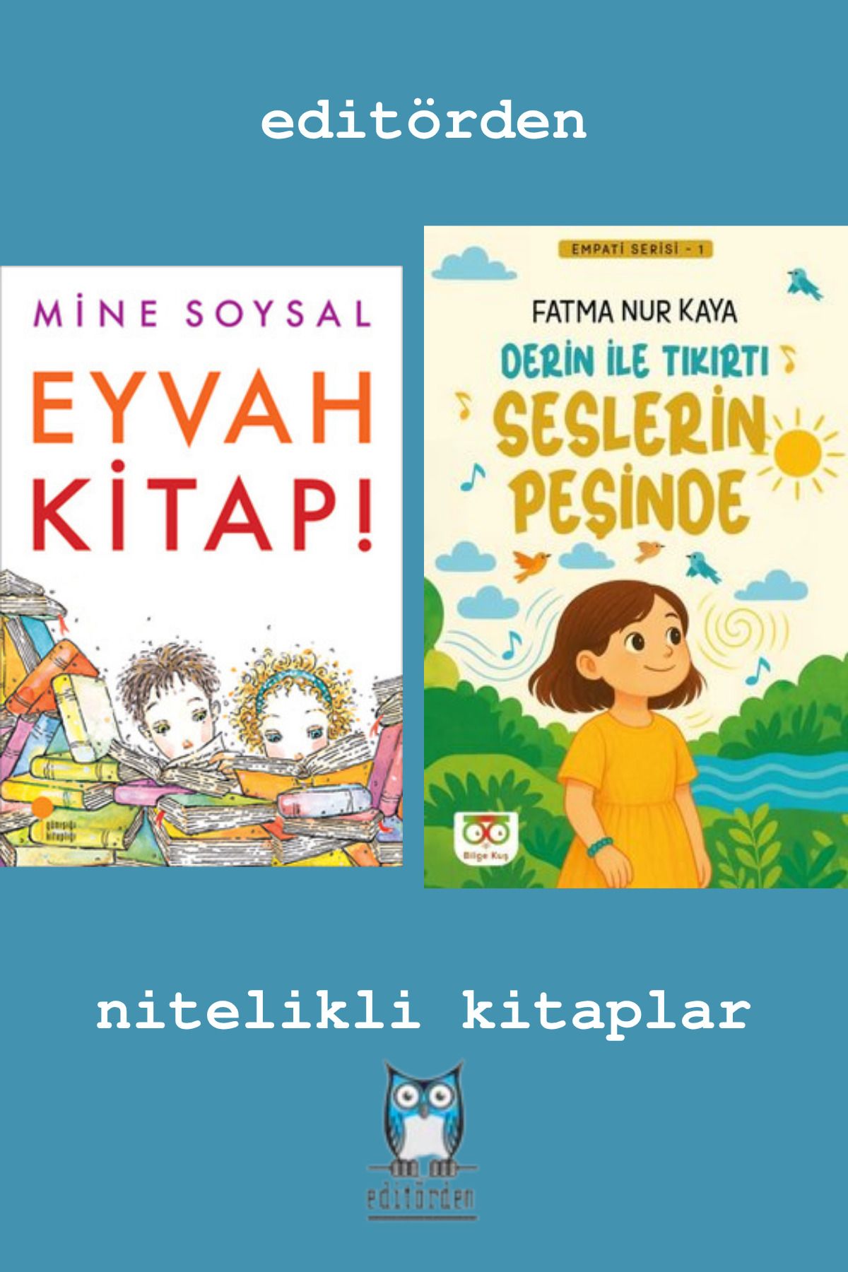 Bilge Kuş Yayınları Eyvah Kitap! - Derin İle Tıkırtı Seslerin Peşinde