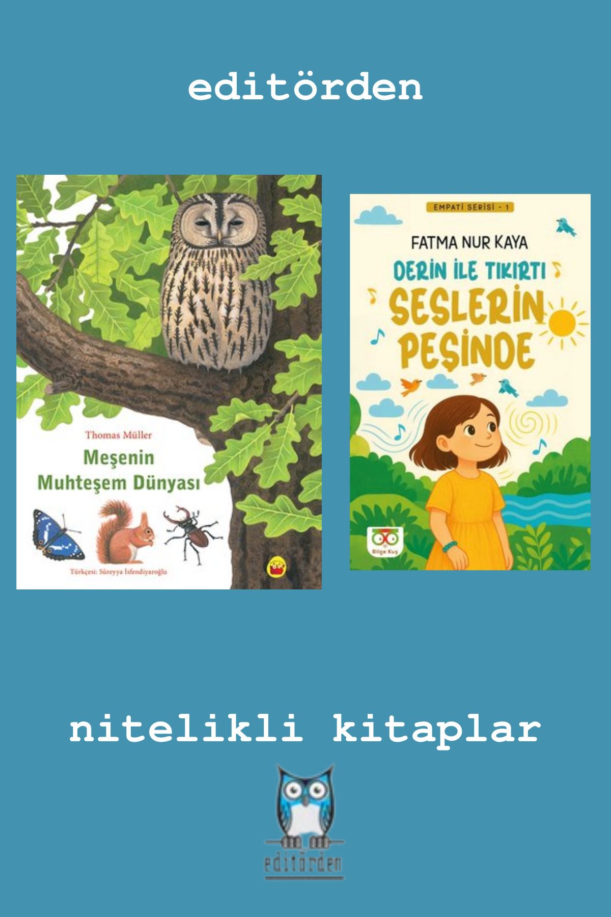Bilge Kuş Yayınları Meşenin Muhteşem Dünyası - Derin İle Tıkırtı Seslerin Peşinde