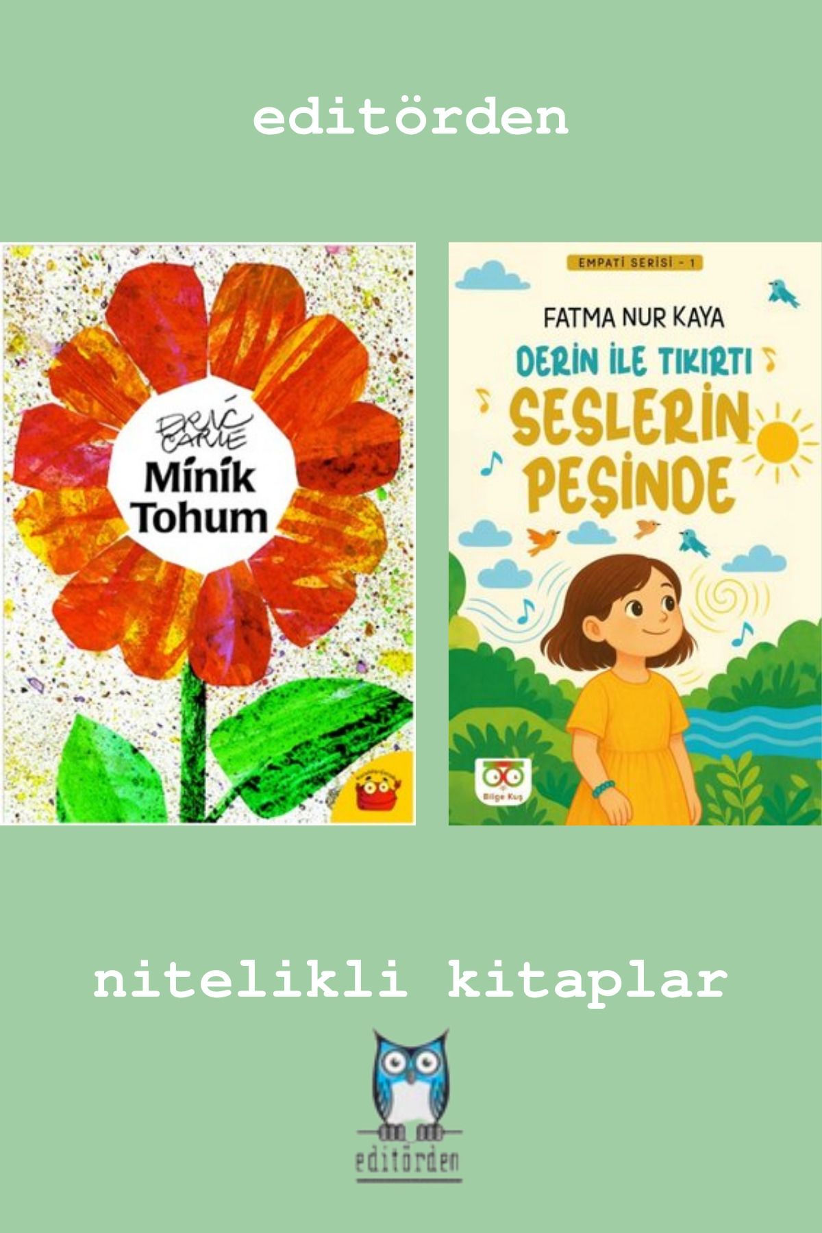 Bilge Kuş Yayınları Minik Tohum - Derin İle Tıkırtı Seslerin Peşinde