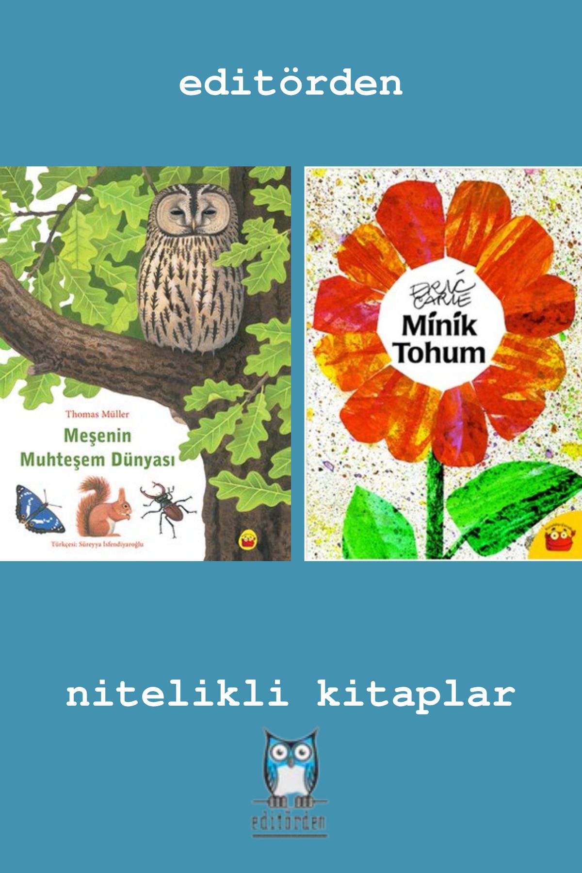 Bilge Kuş Yayınları Meşenin Muhteşem Dünyası - Minik Tohum / Eric Carle