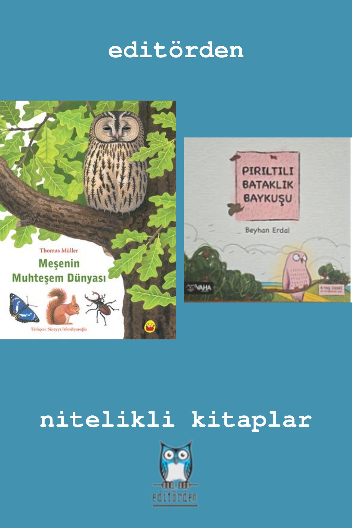 Bilge Kuş Yayınları Meşenin Muhteşem Dünyası - Pırıltılı Bataklık Baykuşu