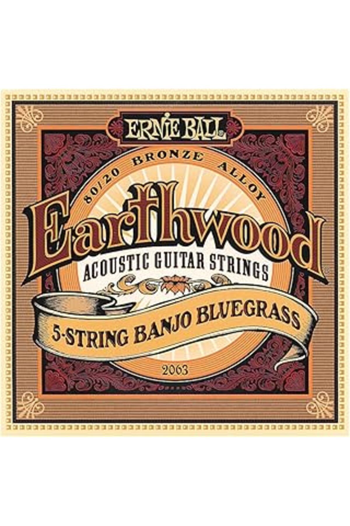 Pazarcan Ernie Ball Earthwood 5-String Banjo Bluegrass Loop End 80/20 Bronz Akustik Gitar Telleri, Ölçü 9-20