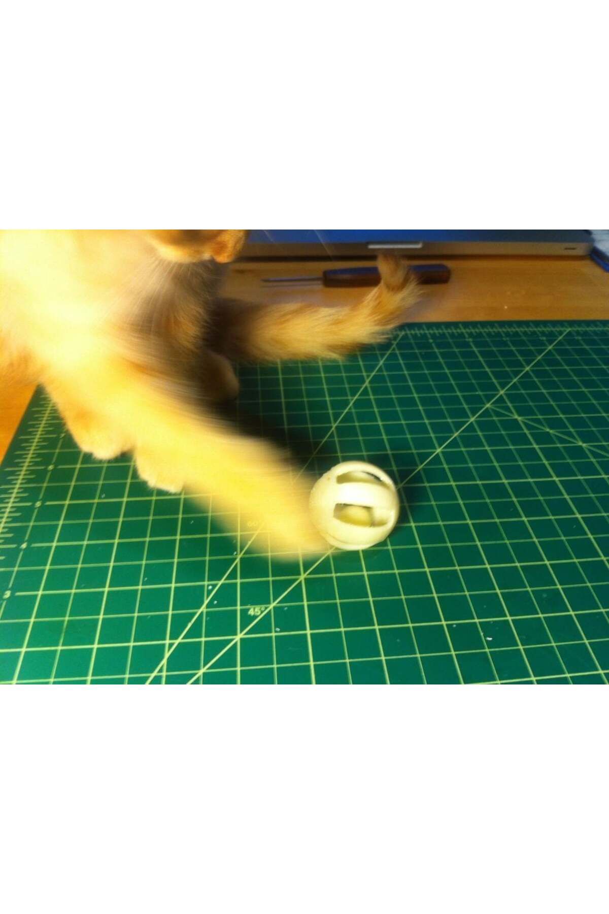 Vision Craft Kedi oyuncak