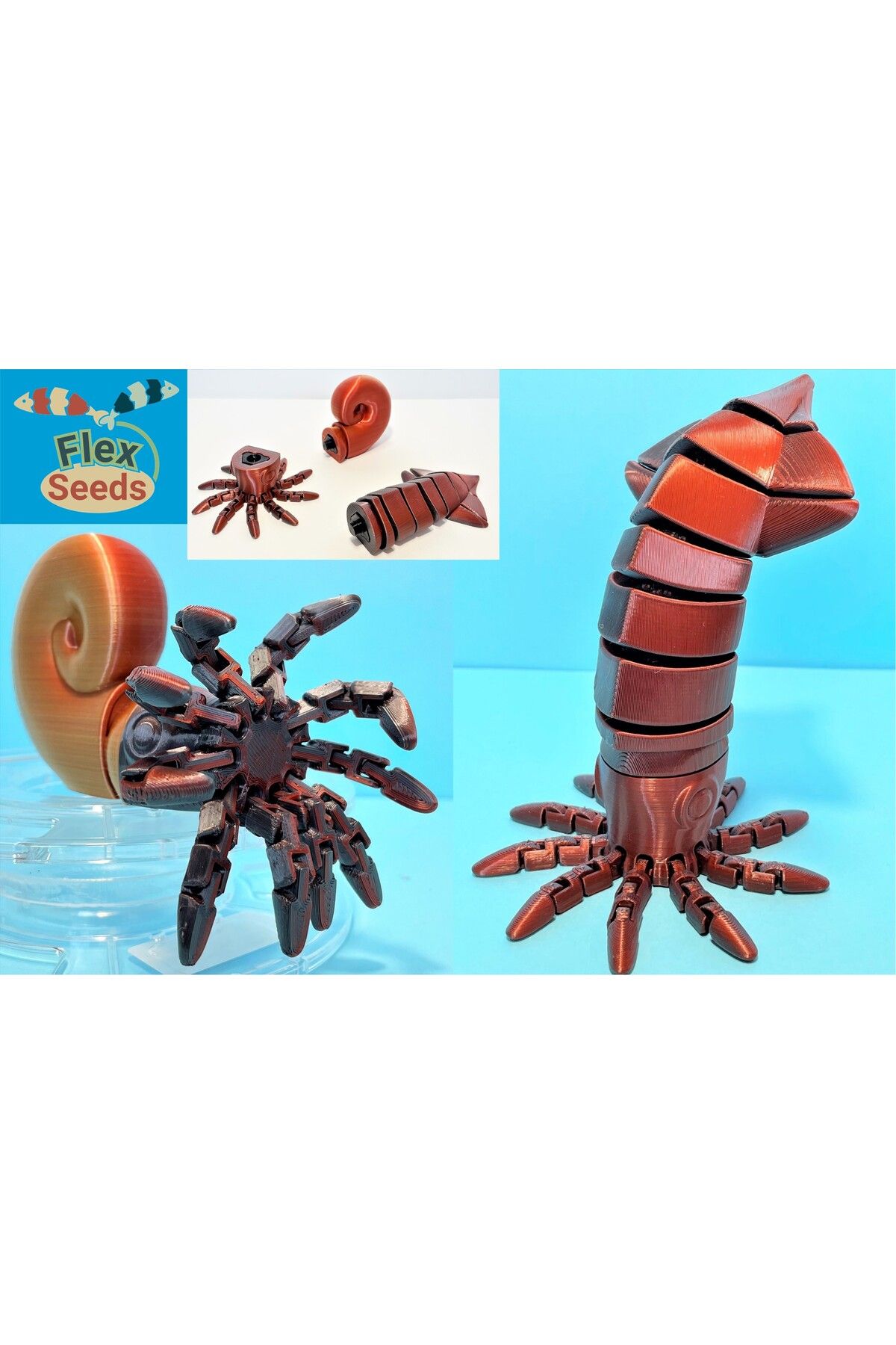 Vision Craft Flexi Squid & Ammonite Seti