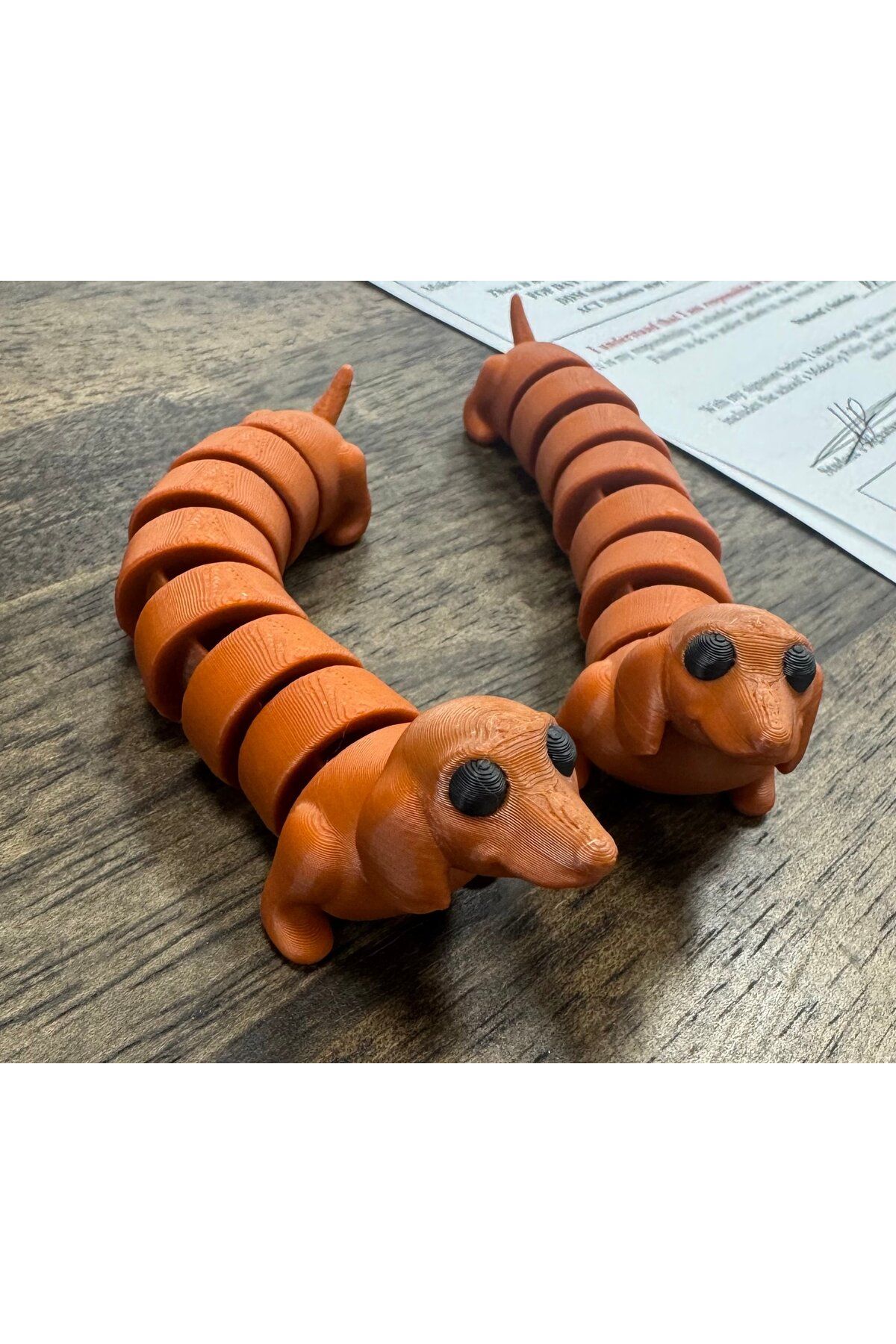 Vision Craft Mafsallı dachshund