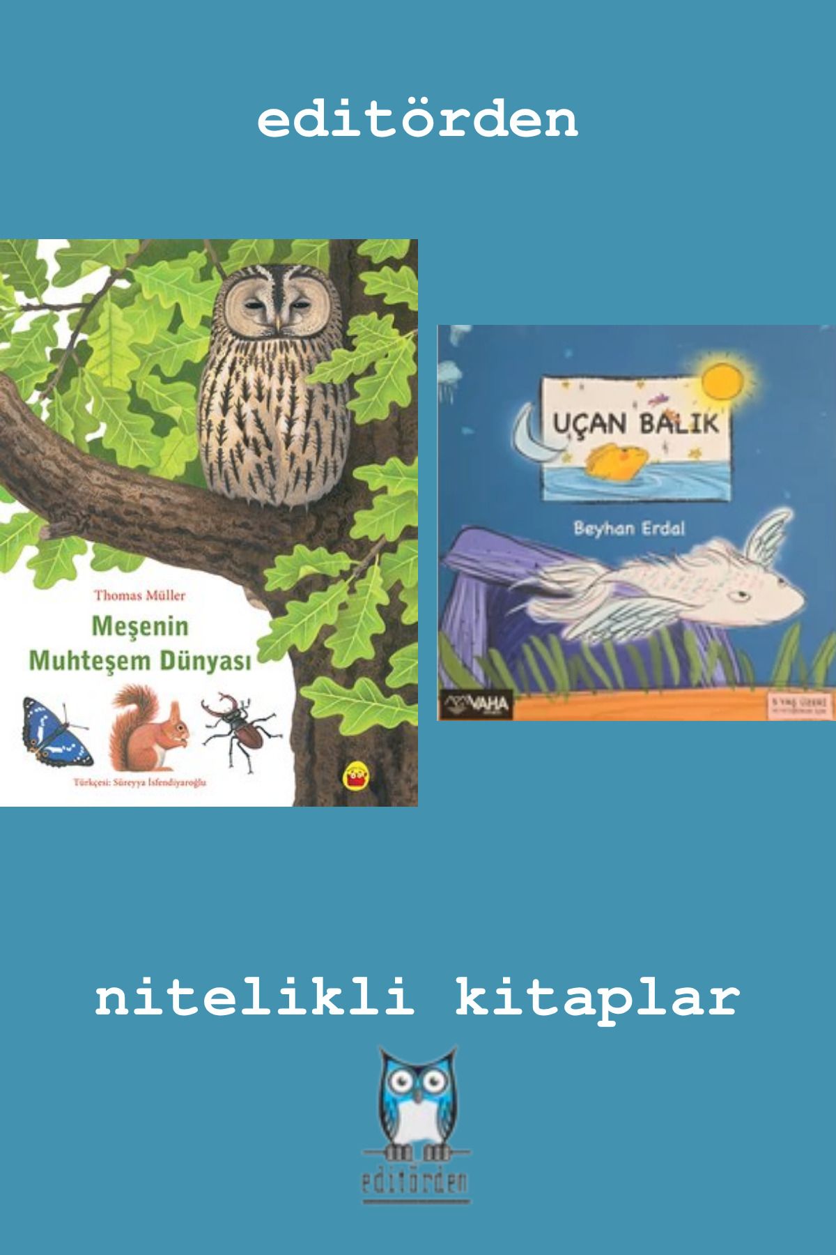 Bilge Kuş Yayınları Meşenin Muhteşem Dünyası - Uçan Balık