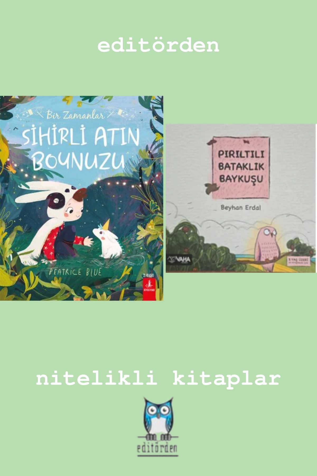 Bilge Kuş Yayınları Bir Zamanlar Sihirli Atın Boynuzu - Pırıltılı Bataklık Baykuşu
