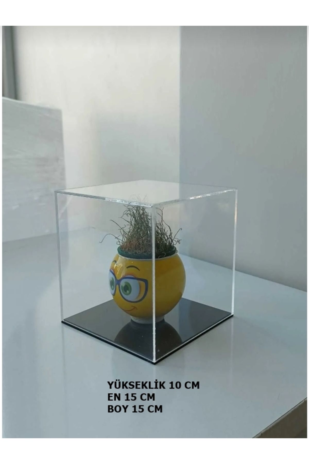 SeHa Design SeHa Pleksi Akrilik Şeffaf Kutu E15cmxB15cmxY10 Kalınlık 3mm