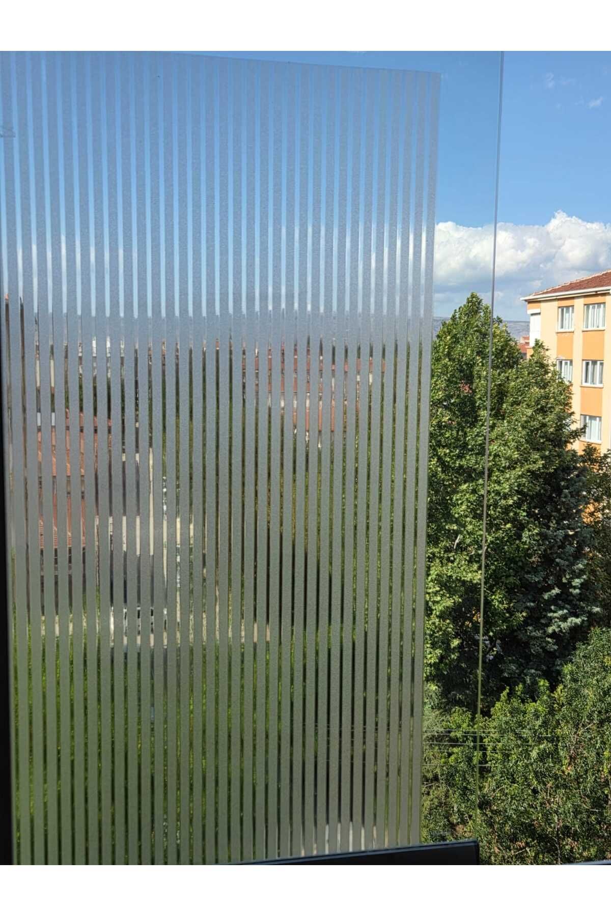 Başak Ev Tekstili Cam Filmi Kaplama Statik Folyo Buzlu Desenli Duşa Kabin Pencere Ofis Dekorasyon