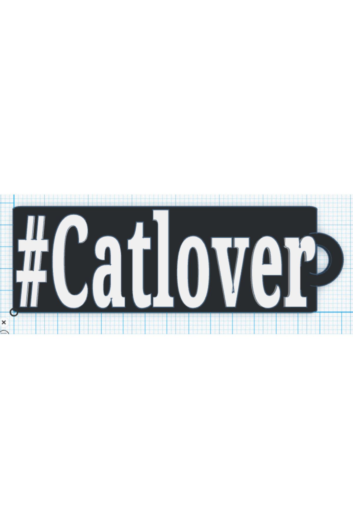 Vision Craft Catlover Anahtarı (4 Adet)