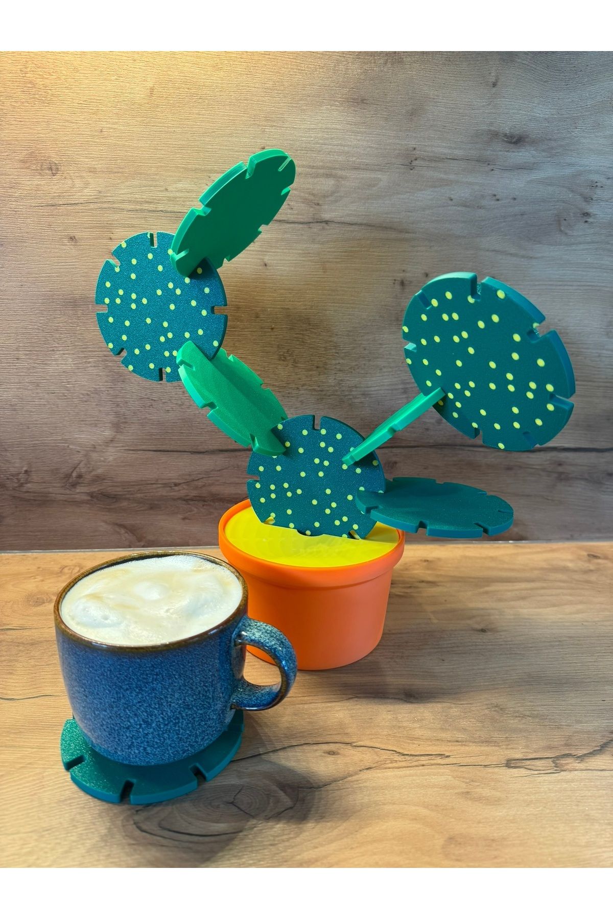 Vision Craft Kaktüs istifleme oyunu / coaster (3 Adet)