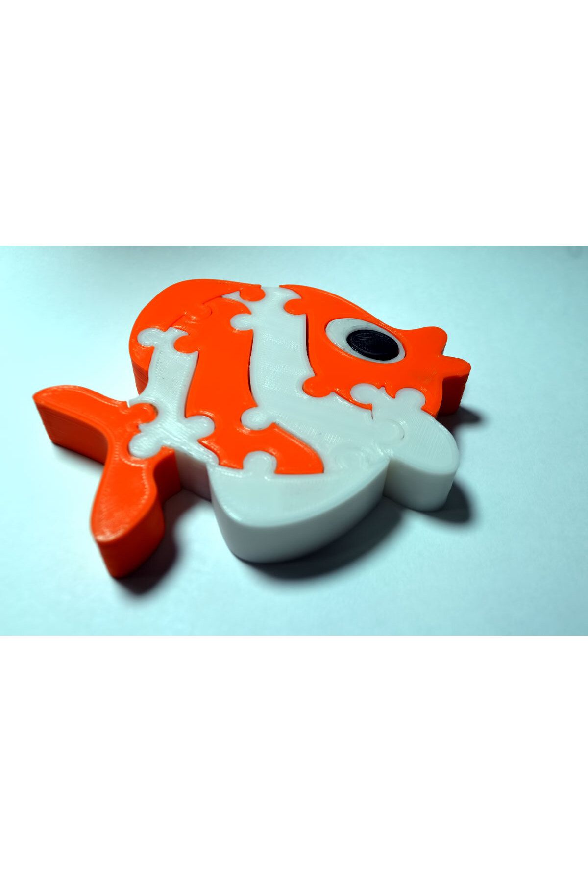 Vision Craft Balık bulmaca