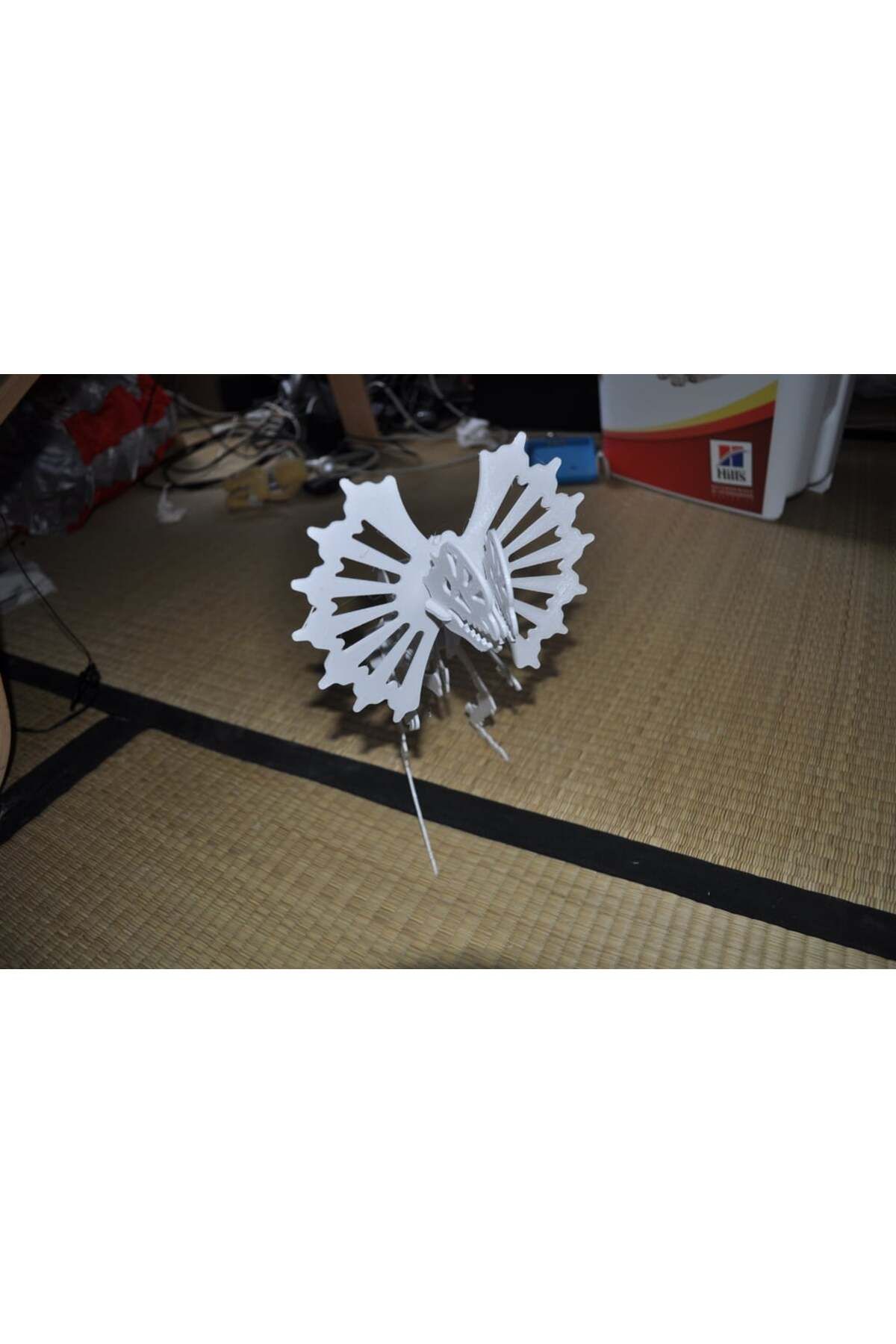 Vision Craft Doolhosaurus 3d Bulmaca, Dino