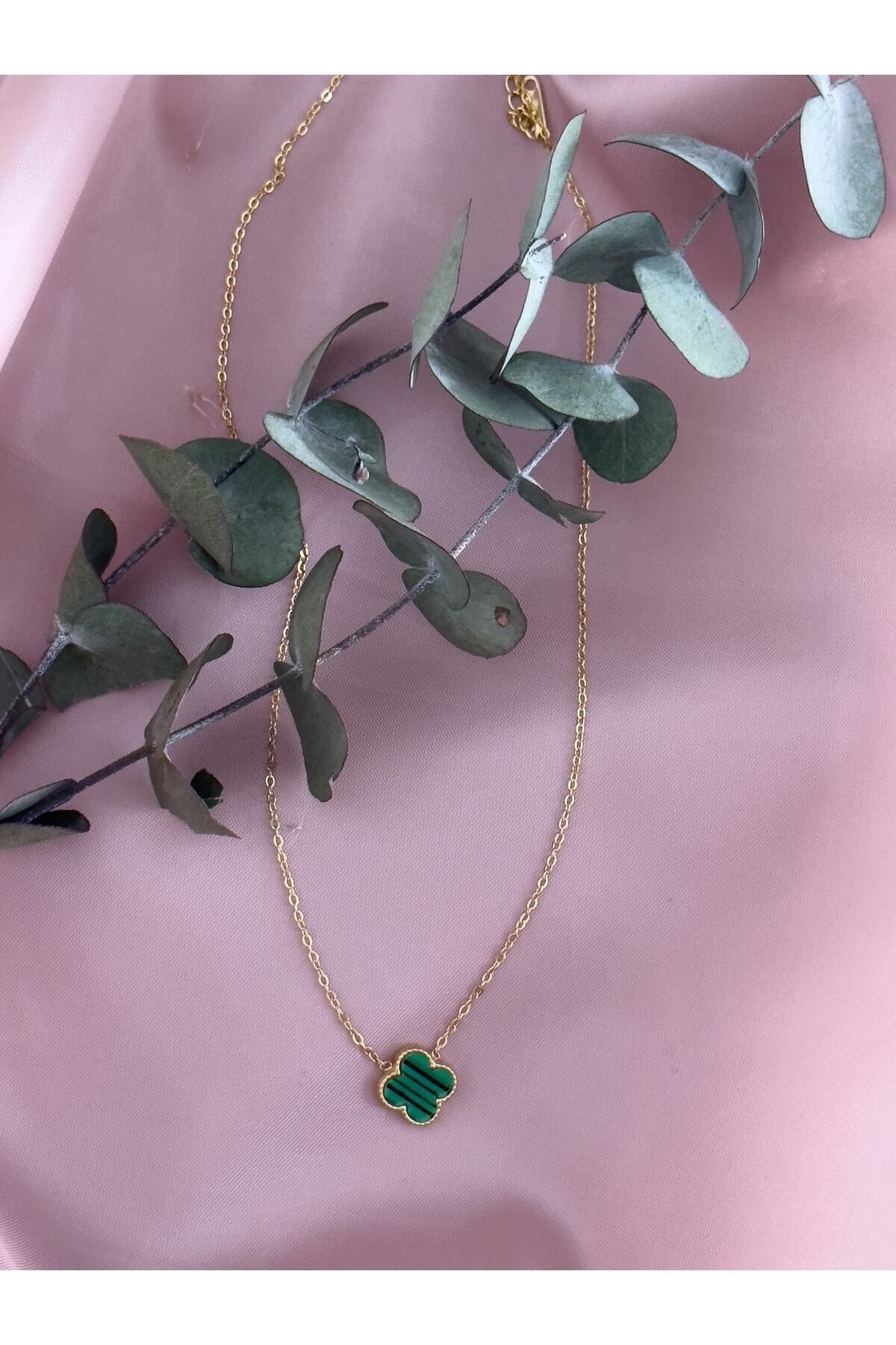 HEDİYEBOHÇAM Ithal Kolye Yalı Çapkını Van Cleef Yonca Çelik Kolye