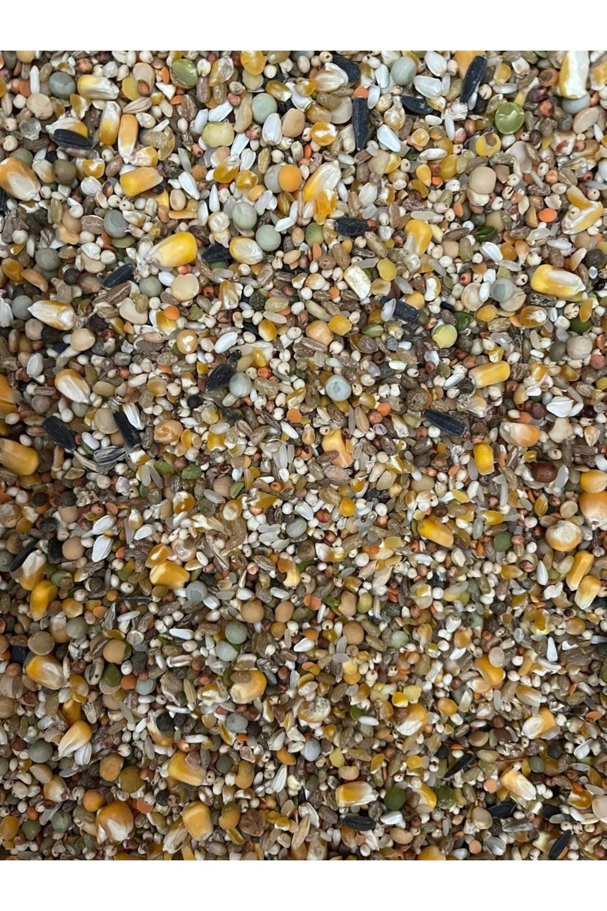BADETİCARET Güvercin Yemi Karışık Ultra Lüx 2.5kg