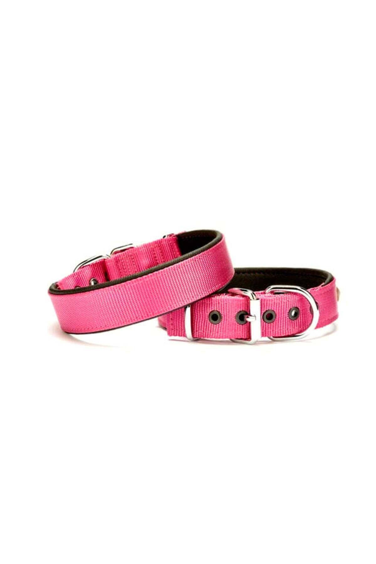 Zayla Softlu Köpek Boyun Tasması 3 cm x 55 cm Mor
