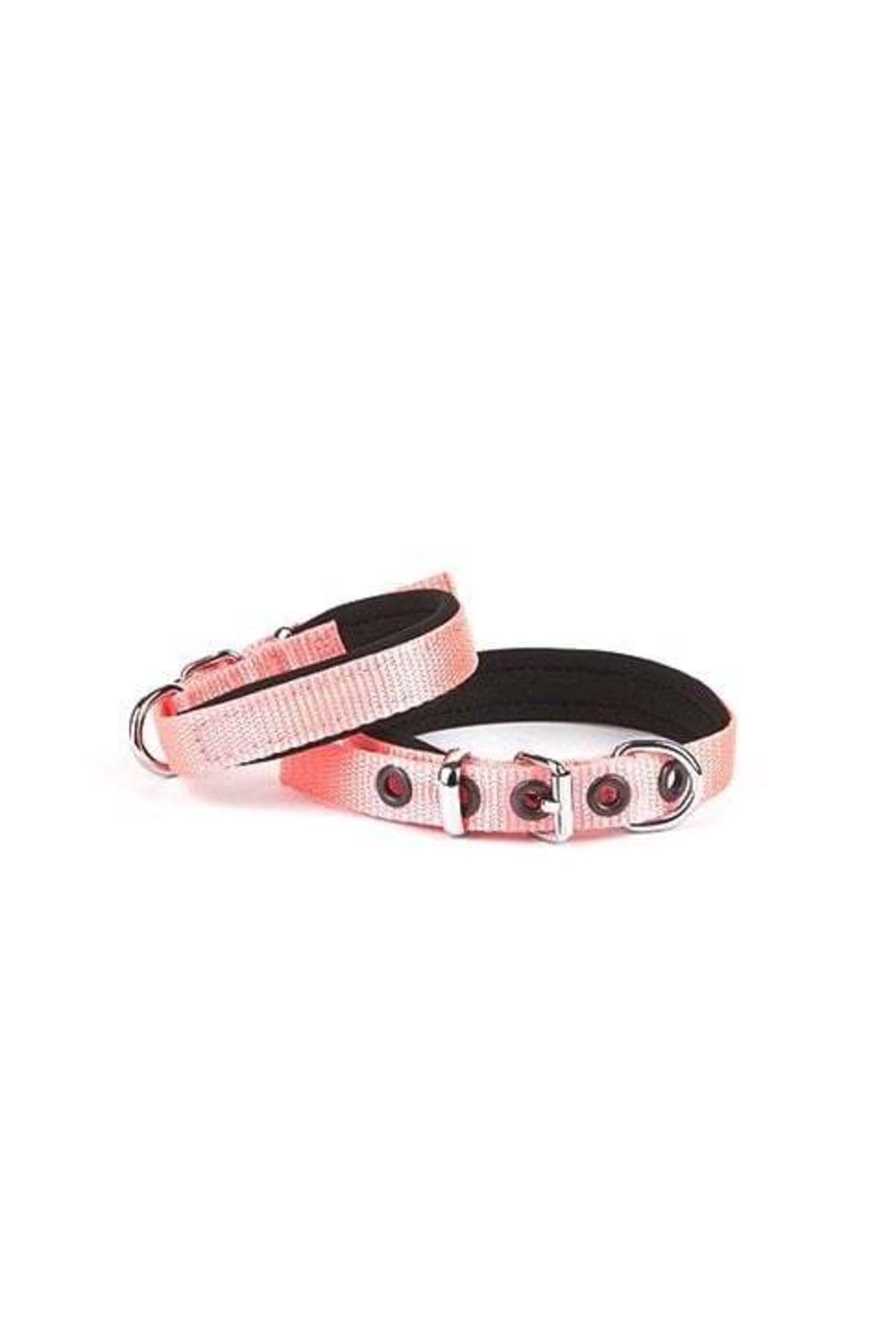 Zayla Softlu Köpek Boyun Tasması 1,5 cm x 35 cm Pembe