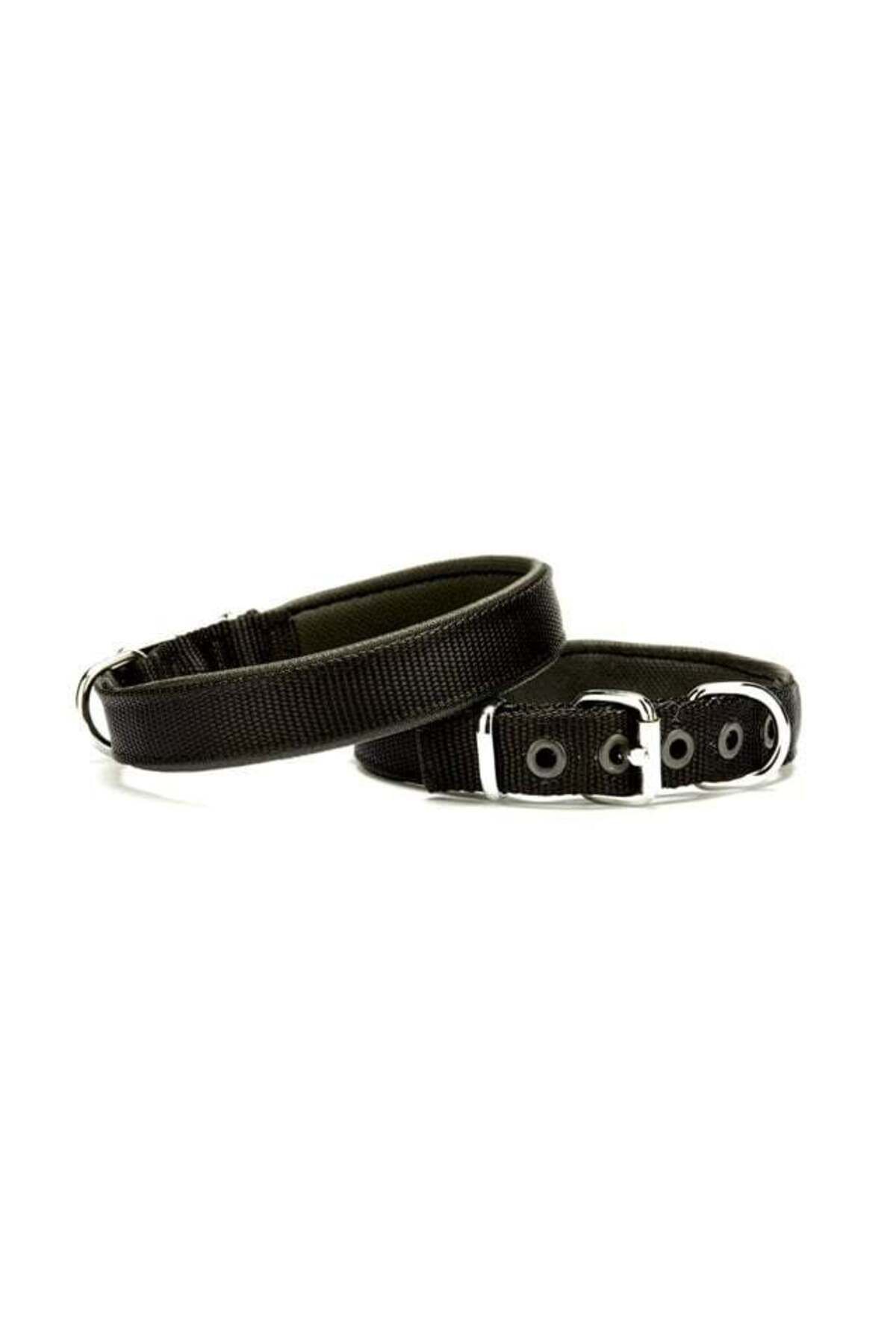 Zayla Softlu Köpek Boyun Tasması 1,5 cm x 30 cm Siyah