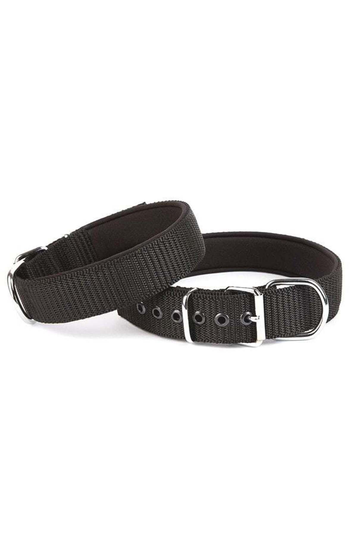 Zayla Seri Dokuma Köpek Boyun Tasması 4x57-65cm Siyah